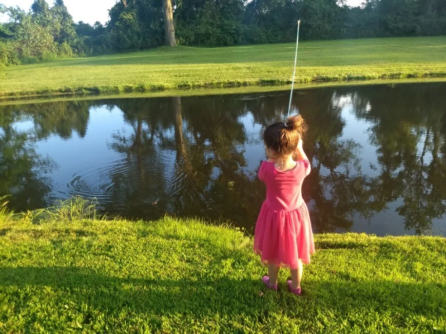 Just a quick check in on what's to come...