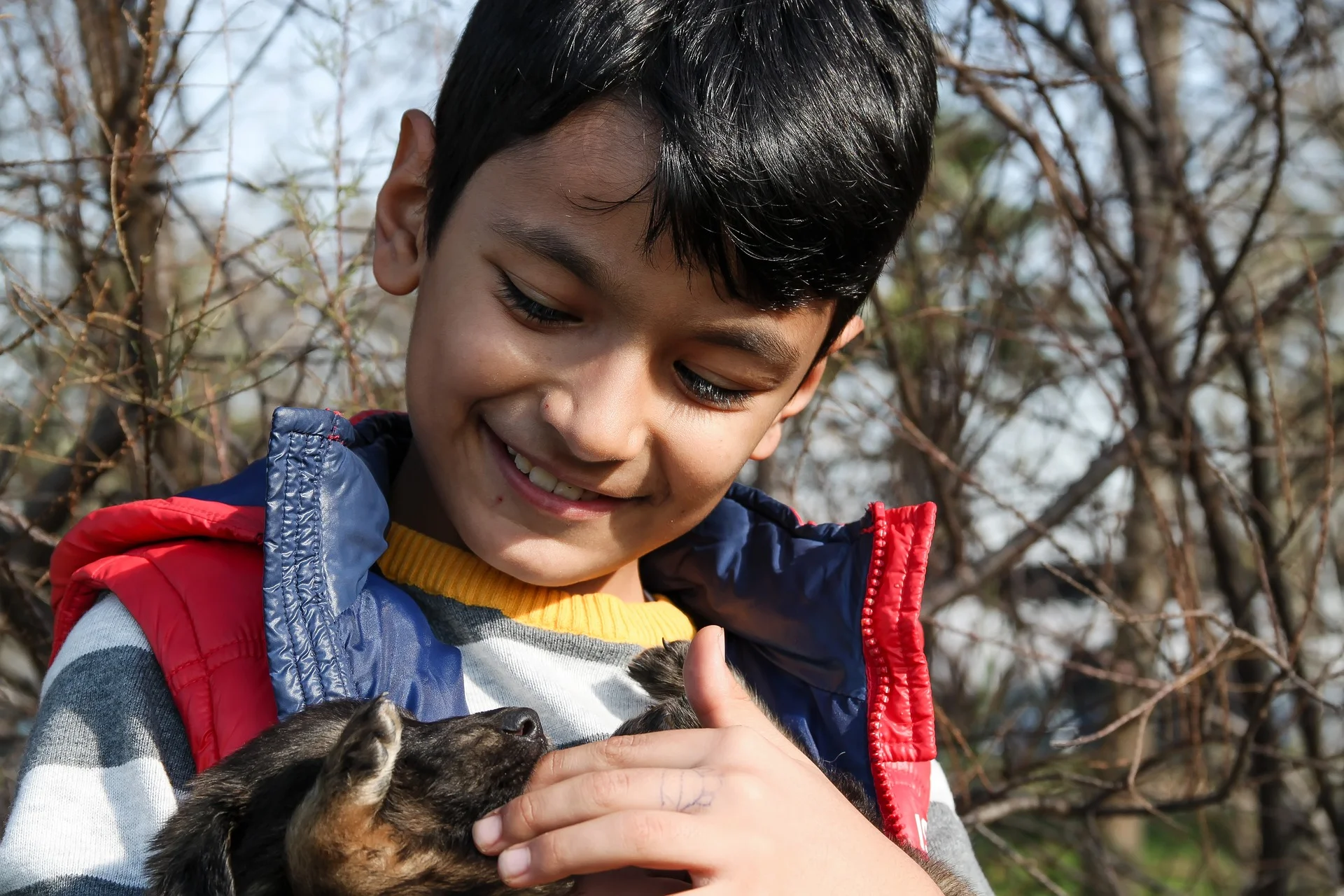 boy-and-dog-1876072_1920.jpg