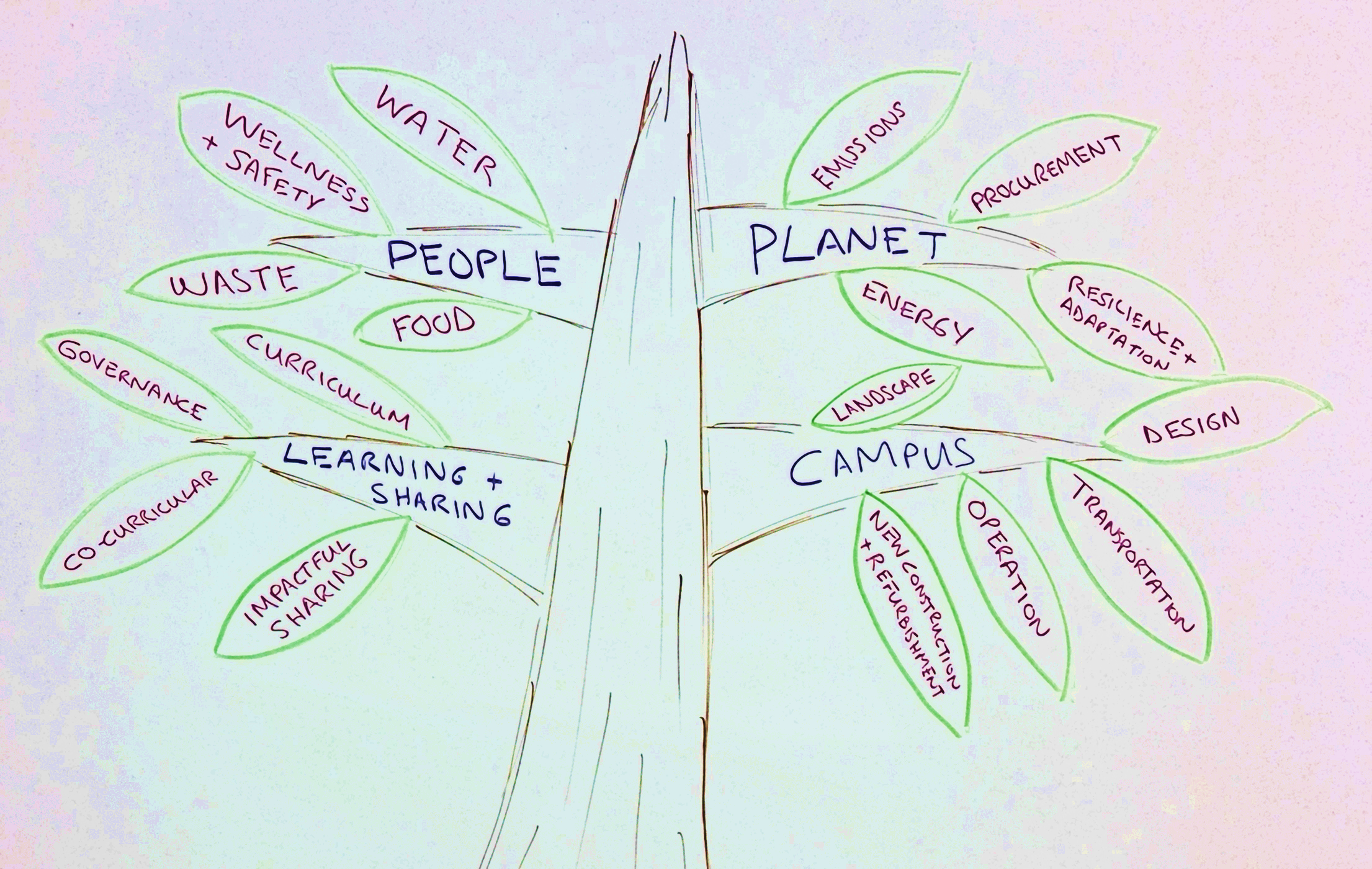 Sustainability Tree (color).png