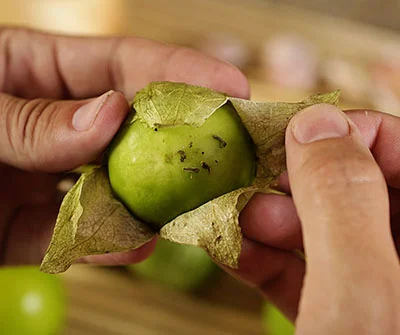 Skirt Steak Salsa Verde