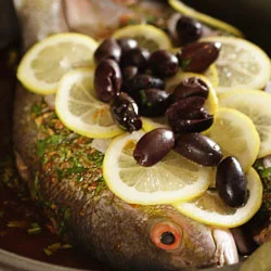 Challenge #2: Snapper M'qualli (Morocco)