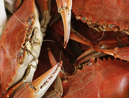 Project Food Blog Challenge #3: Luxury Dinner Party