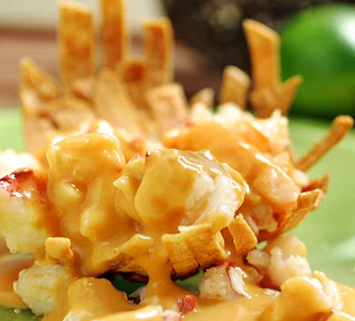 Maine lobster, in a tortilla nest, with a red chile cream sauce