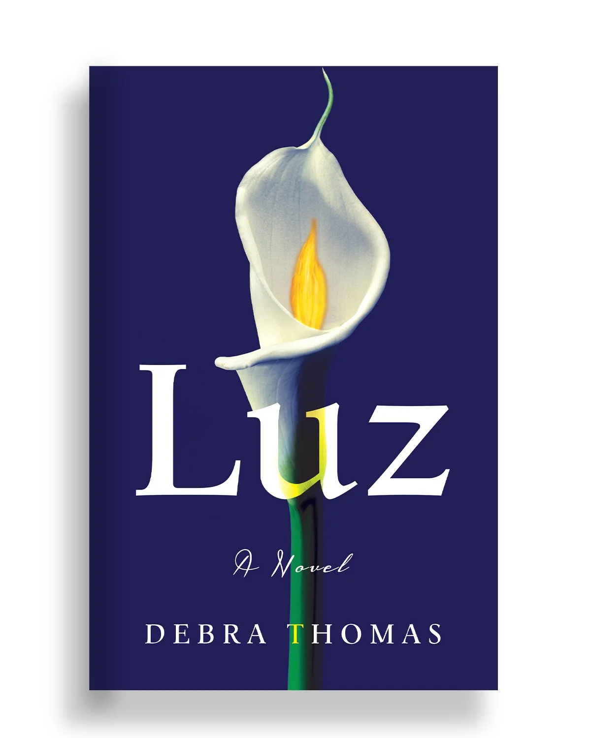 luz lg.jpg