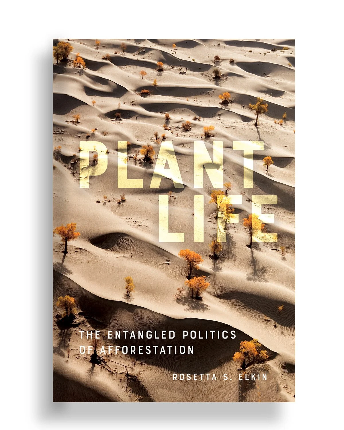 plant life lg.jpg