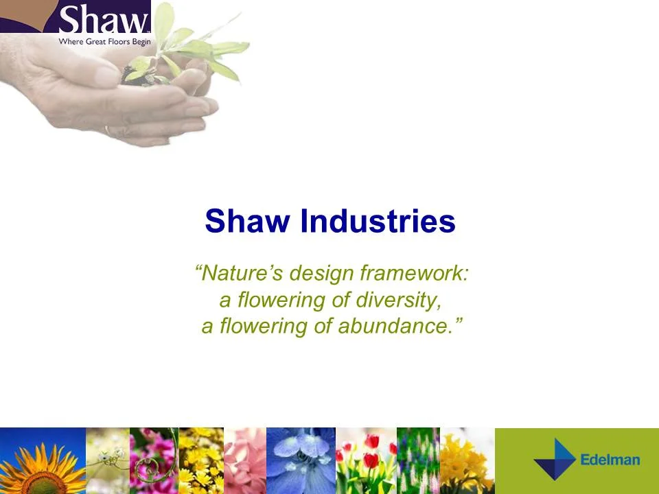 Slide7.JPG