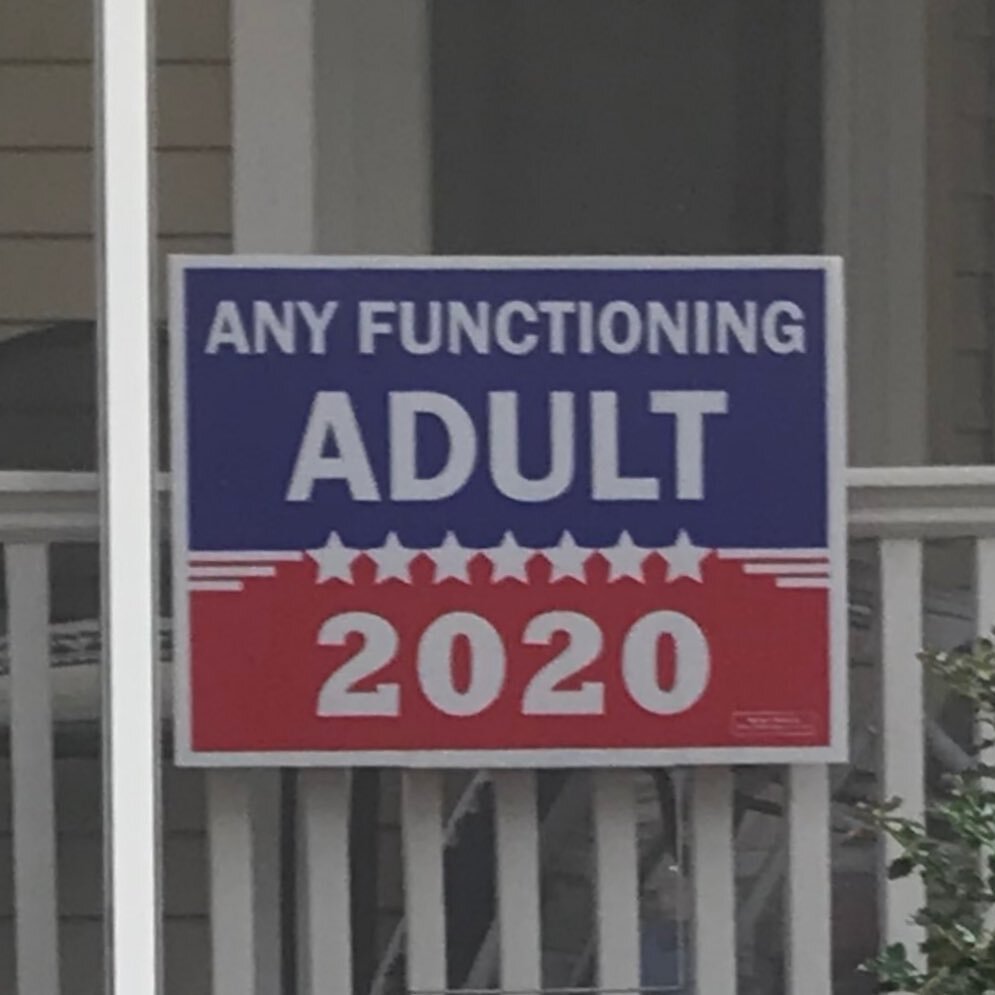 I was walking my dog earlier this afternoon and came across this sign on a house porch. Very telling.
.
.
.
#election2020 #presidentialelection #uspresidentialelection #uspresident @democraticparty @vote_dems @votesaveamerica @votehimout @leagueofwom