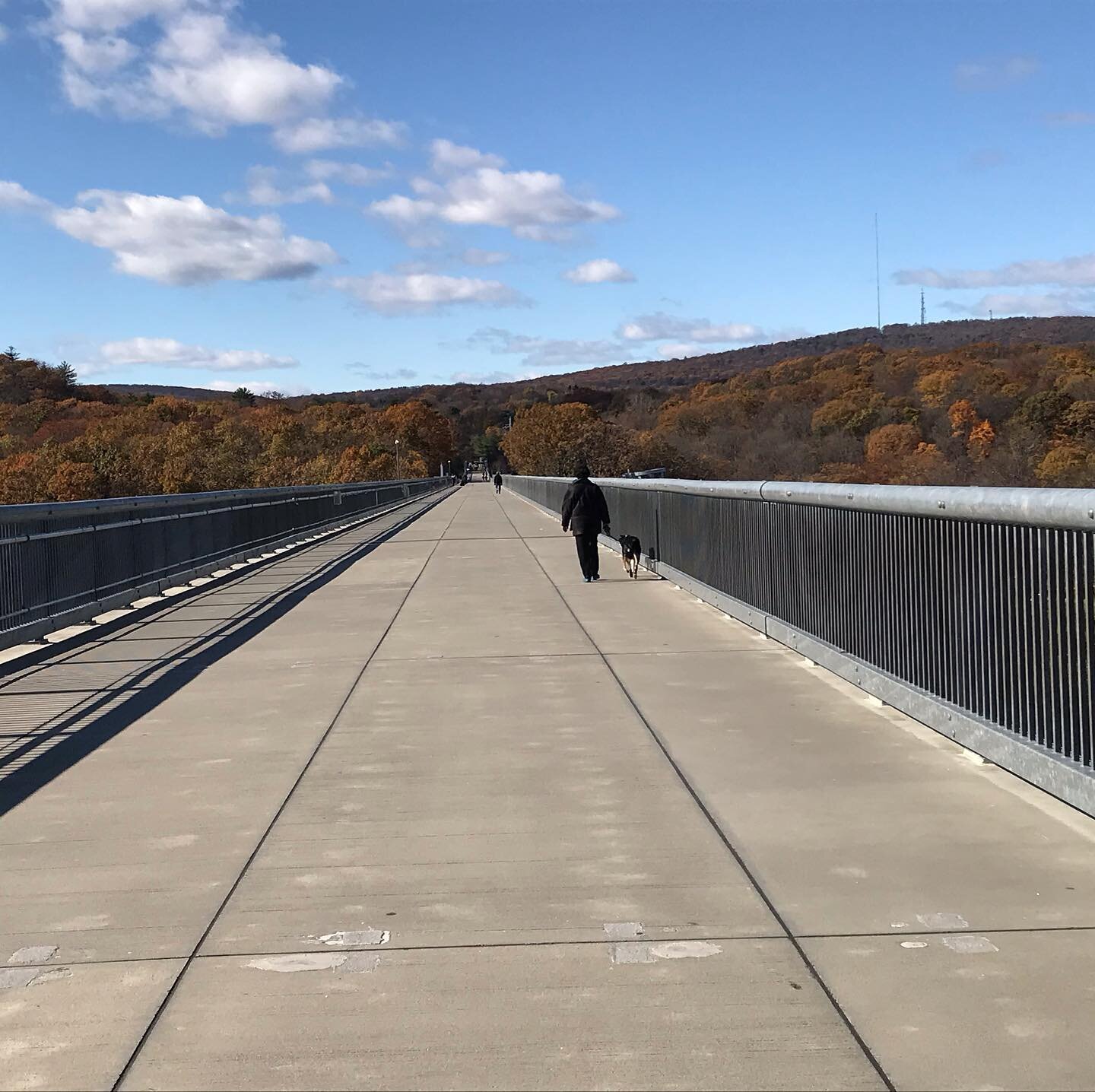 Walkway Over the Hudson

Opening in 2009, Walkway Over the Hudson was the result of transforming the old Poughkeepsie-Hudson Railroad Bridge into a pedestrian and bicycle trail. Two hundred and twelve feet above the Hudson and 1.28 miles across, the 