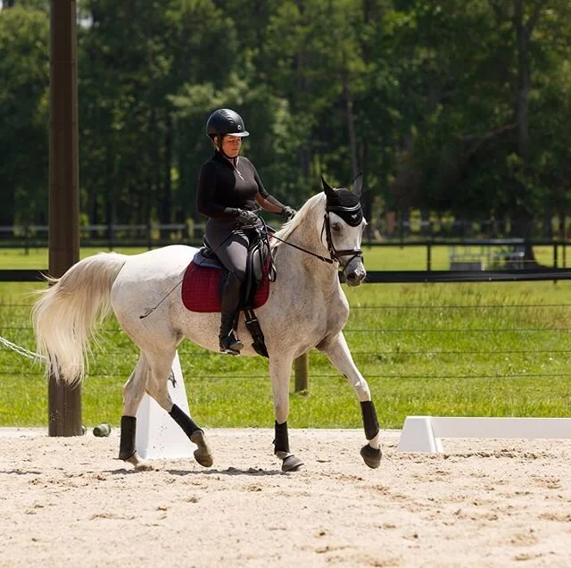 Working hard, getting stronger, pushing toward goals. Bringing this mare along from jumpers to dressage has been challenging, educational and incredibly rewarding; I wouldn&rsquo;t trade it for the world.🌷
📸PC: @rachelblinczak 💕