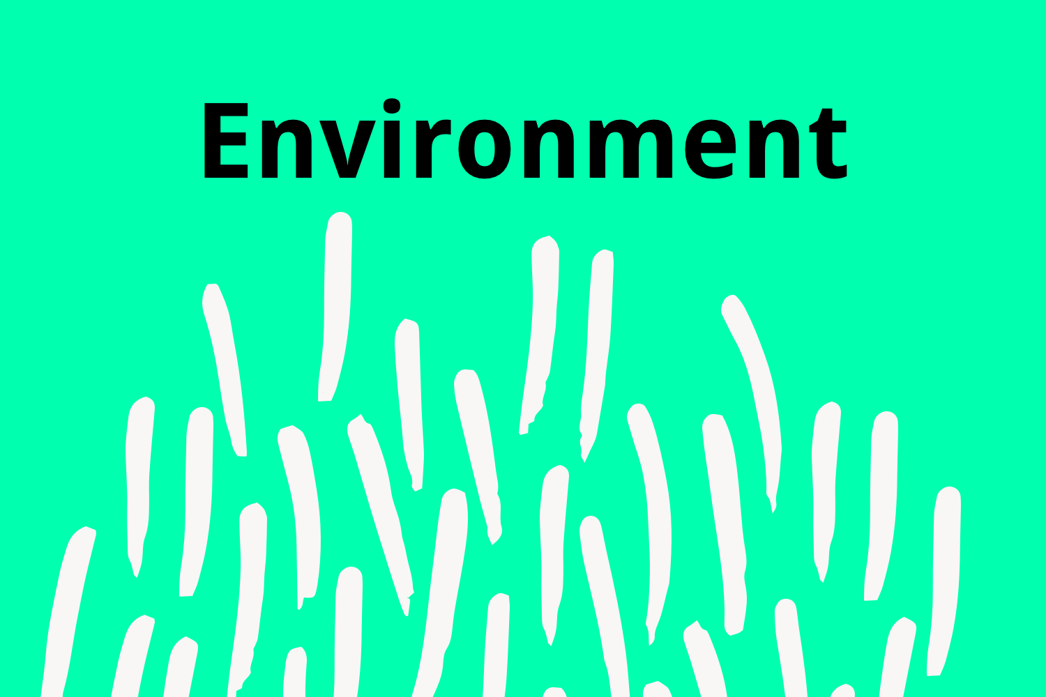 Environment.png