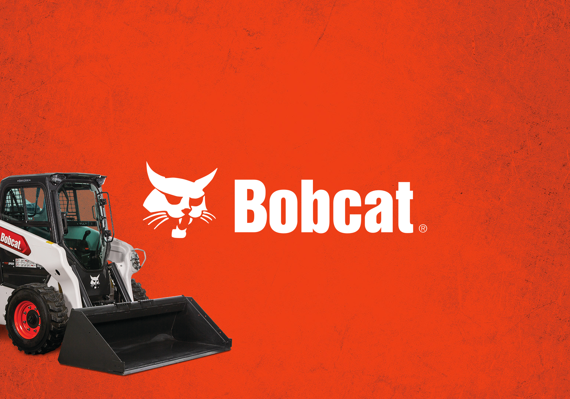 Bobcat
