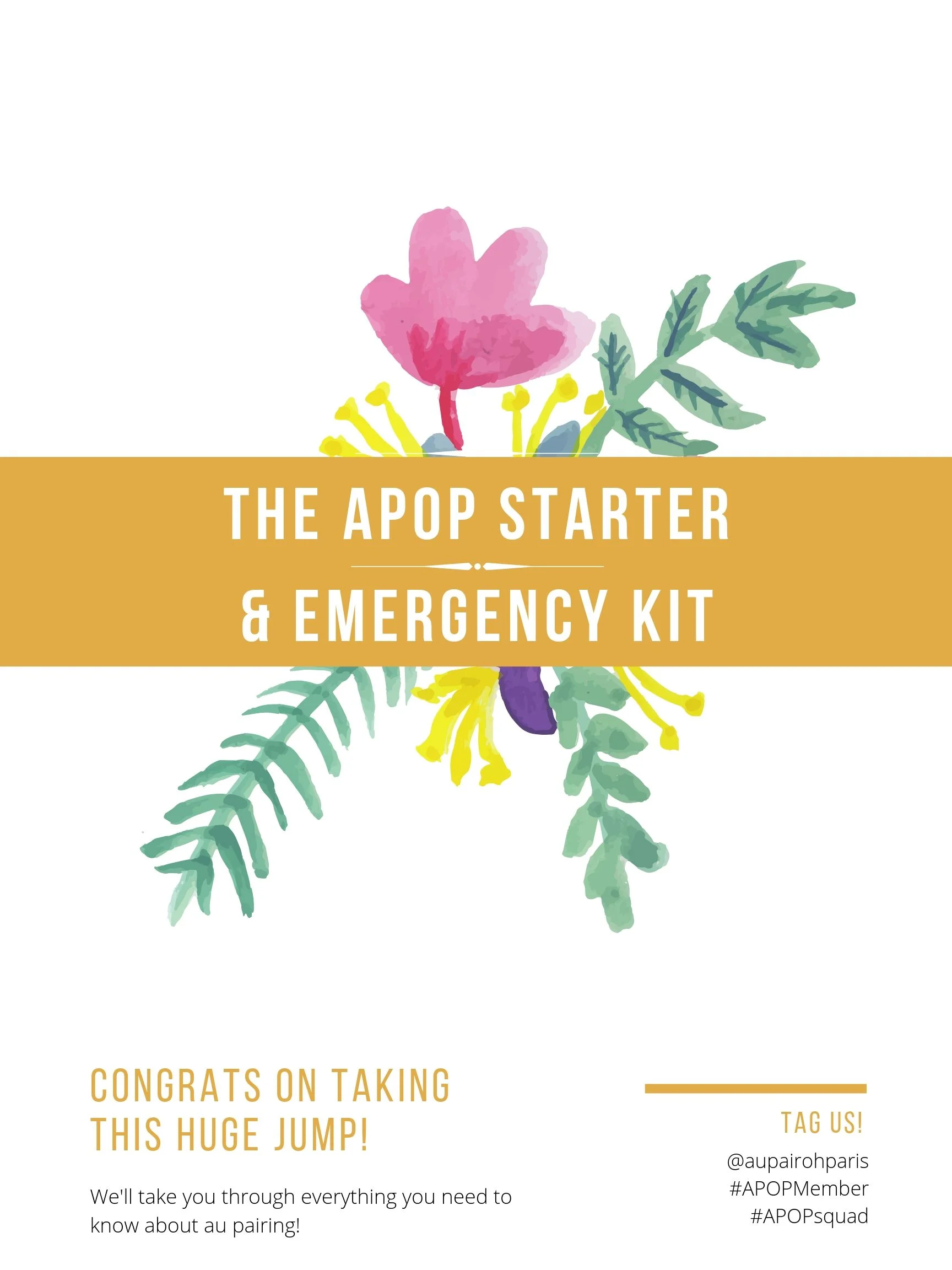 THE APOP STARTER & EMERGENCY KIT.jpg