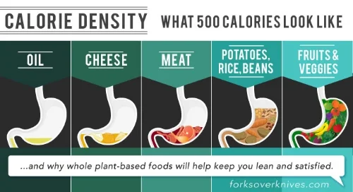 Caloric-Density-FINAL.jpg