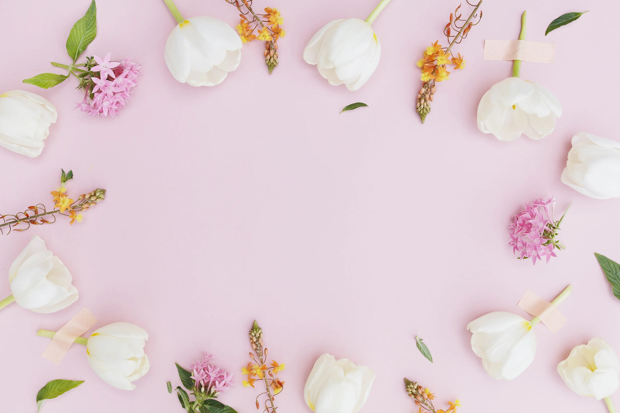 Free Styled Stock Images_SC Stockshop_20.JPG