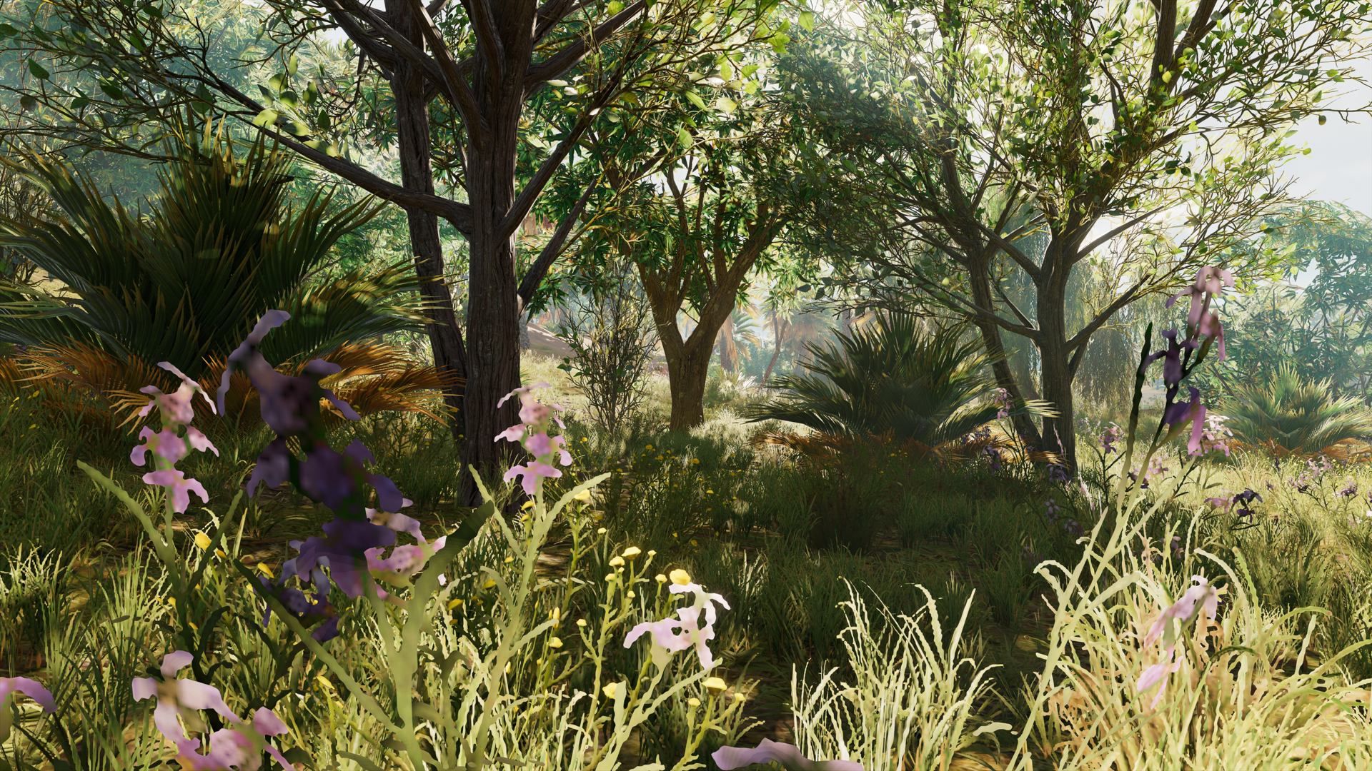 Resolution Bumps on X/Pro are Disappointing