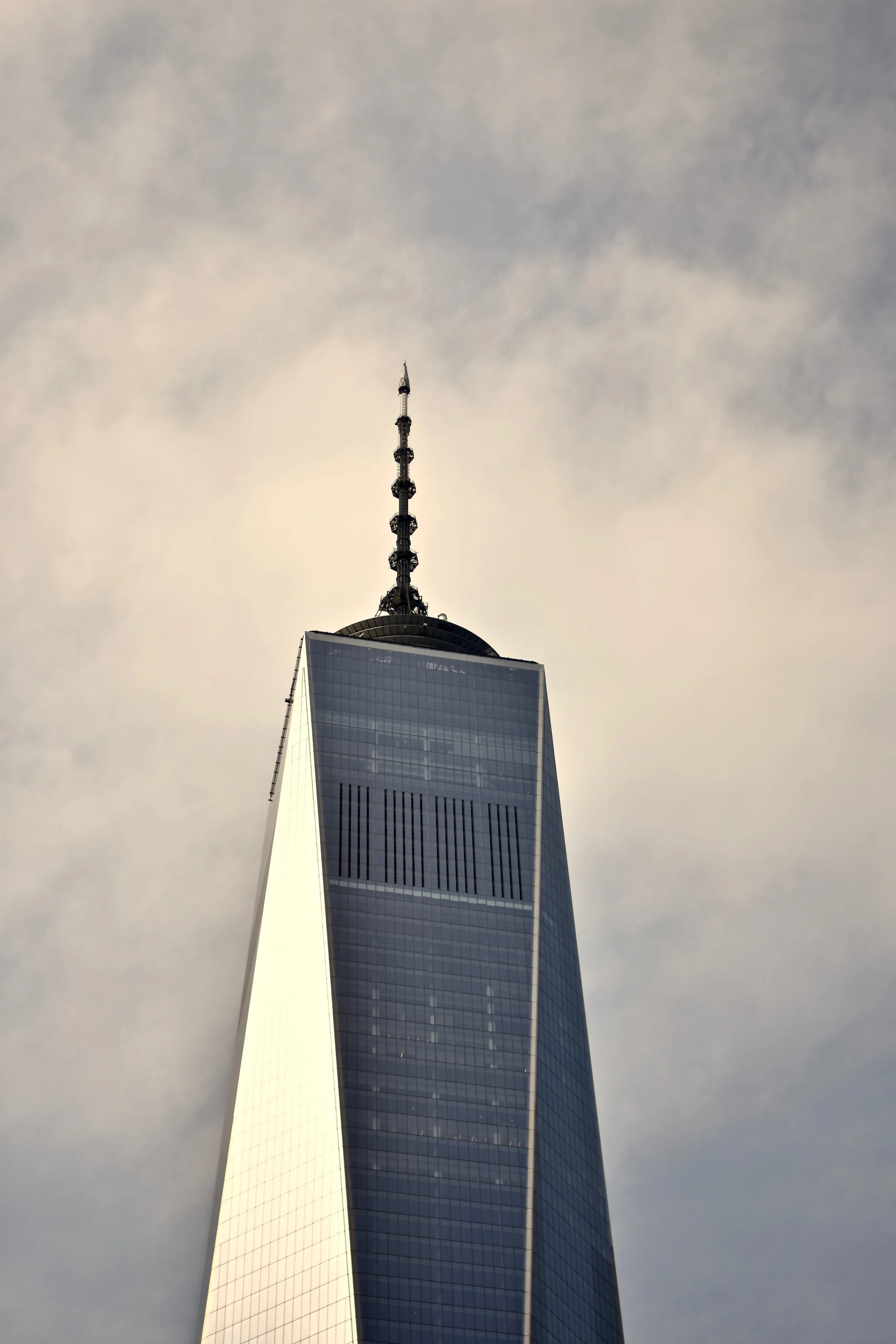 DSC_1464.jpg