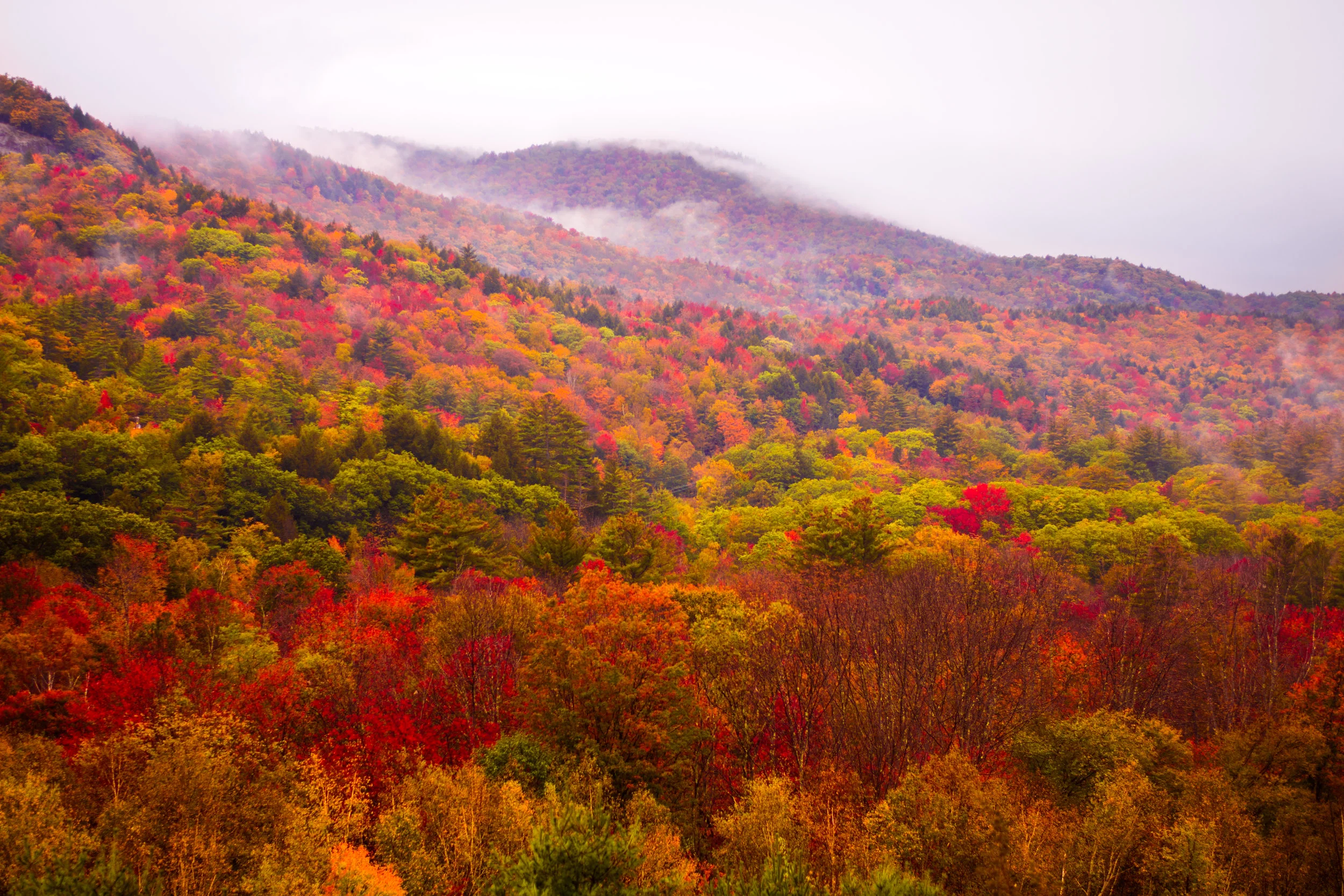 DSC_6430.jpg