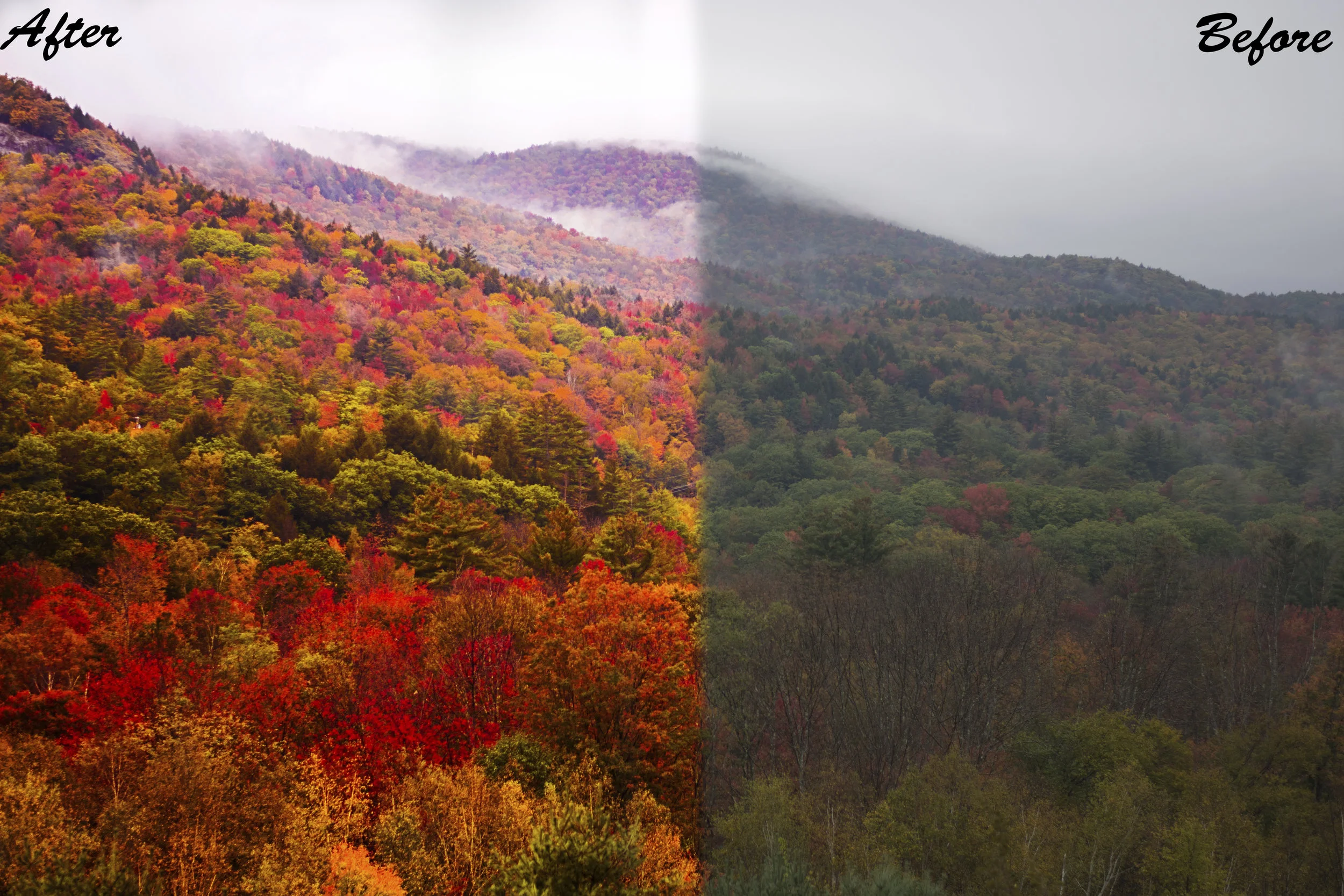 Lightroom tutorial.jpg