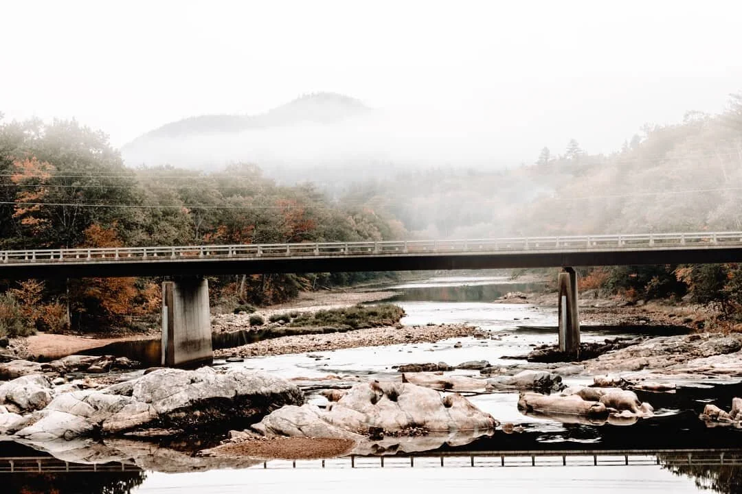 One of my favorite things to photograph by far would have to be fog. I love the emptiness of it
.
.
.
.
Nikon D7200 .
.
.
.
.
#summer #landscape #animals #health #work #goats #food #eat #instagood #photooftheday #entrepreneur #follow #happytake #stag