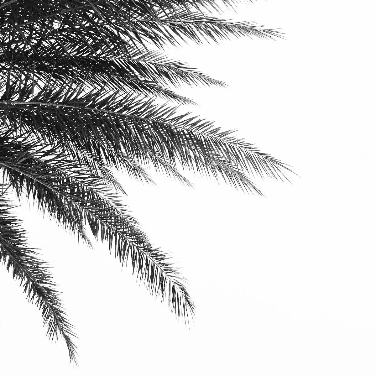 3 tips to get the most out of your stroke recovery 