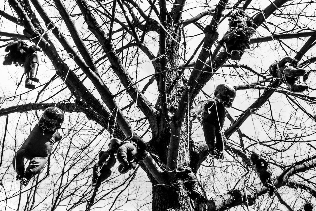 Tree Babes © Loring Cornish, used with permission of the artist.