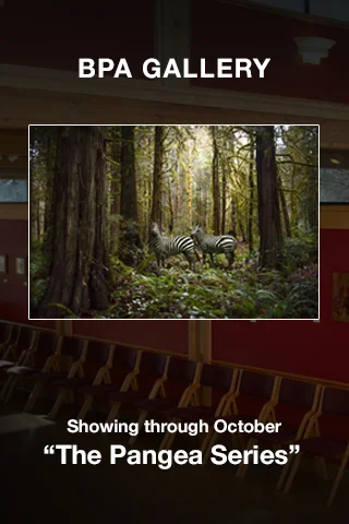 bpa-gallery Oct 2019-320x480.jpg