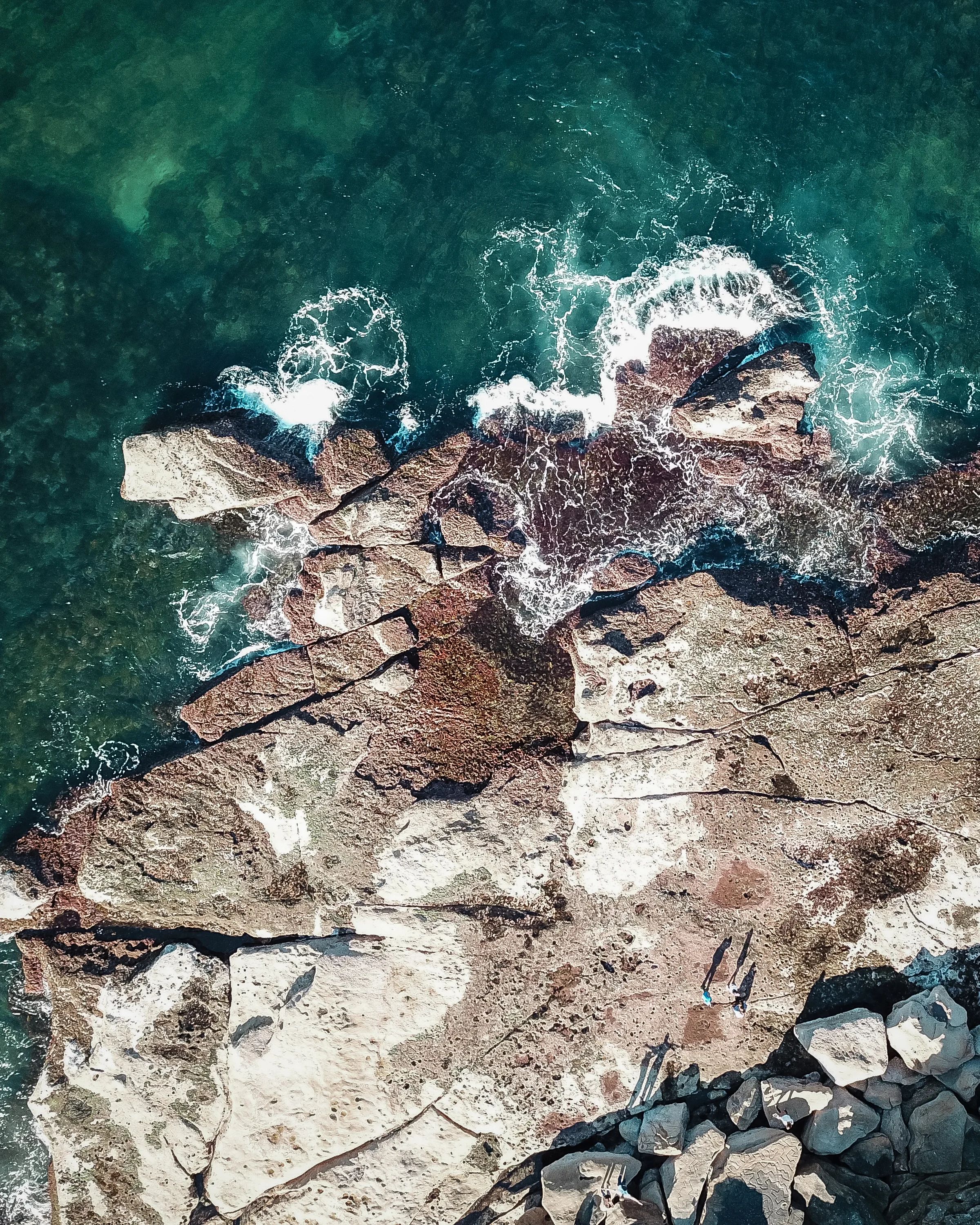 07-30-18 Sydney-39.jpg