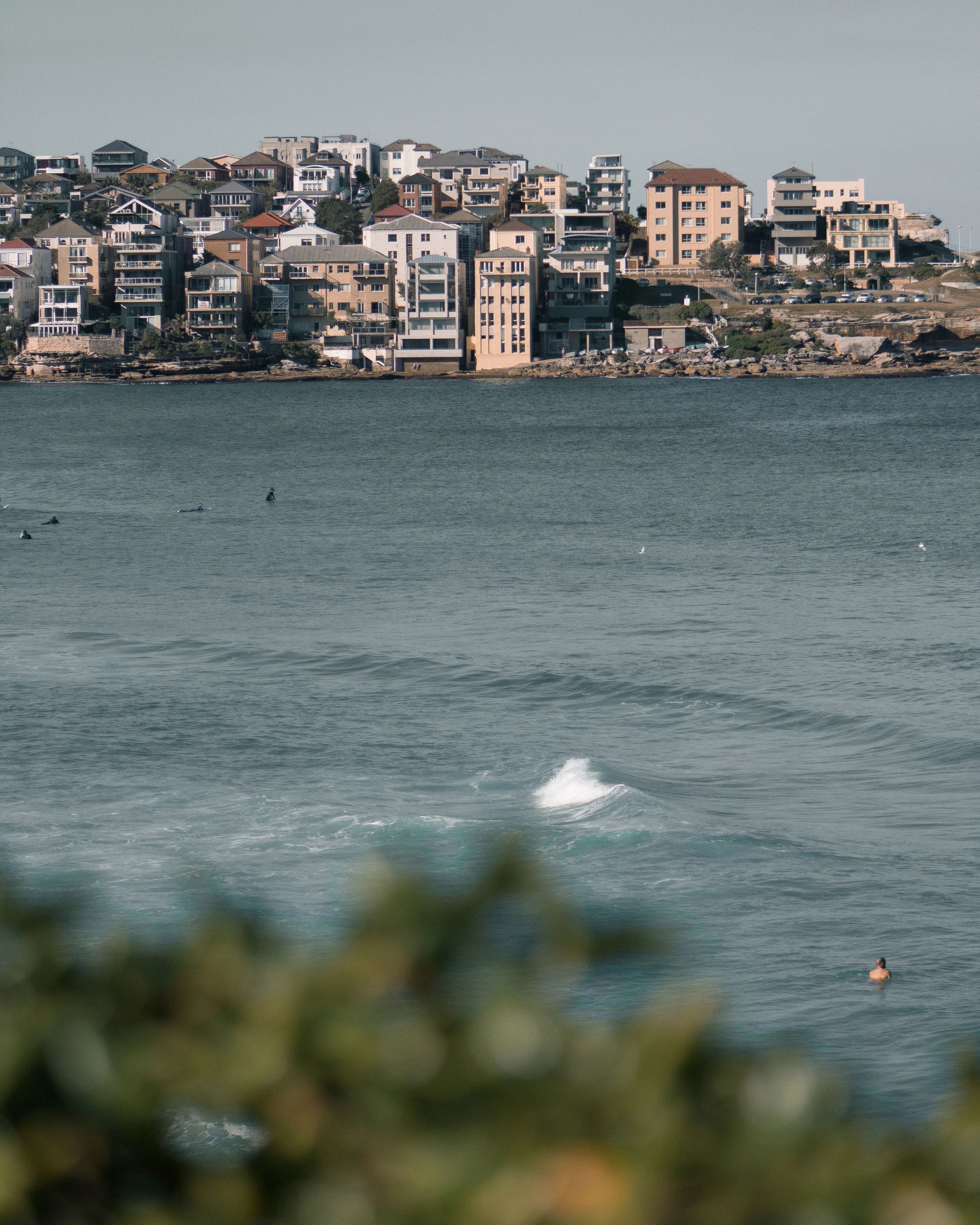 07-30-18 Sydney-22.jpg