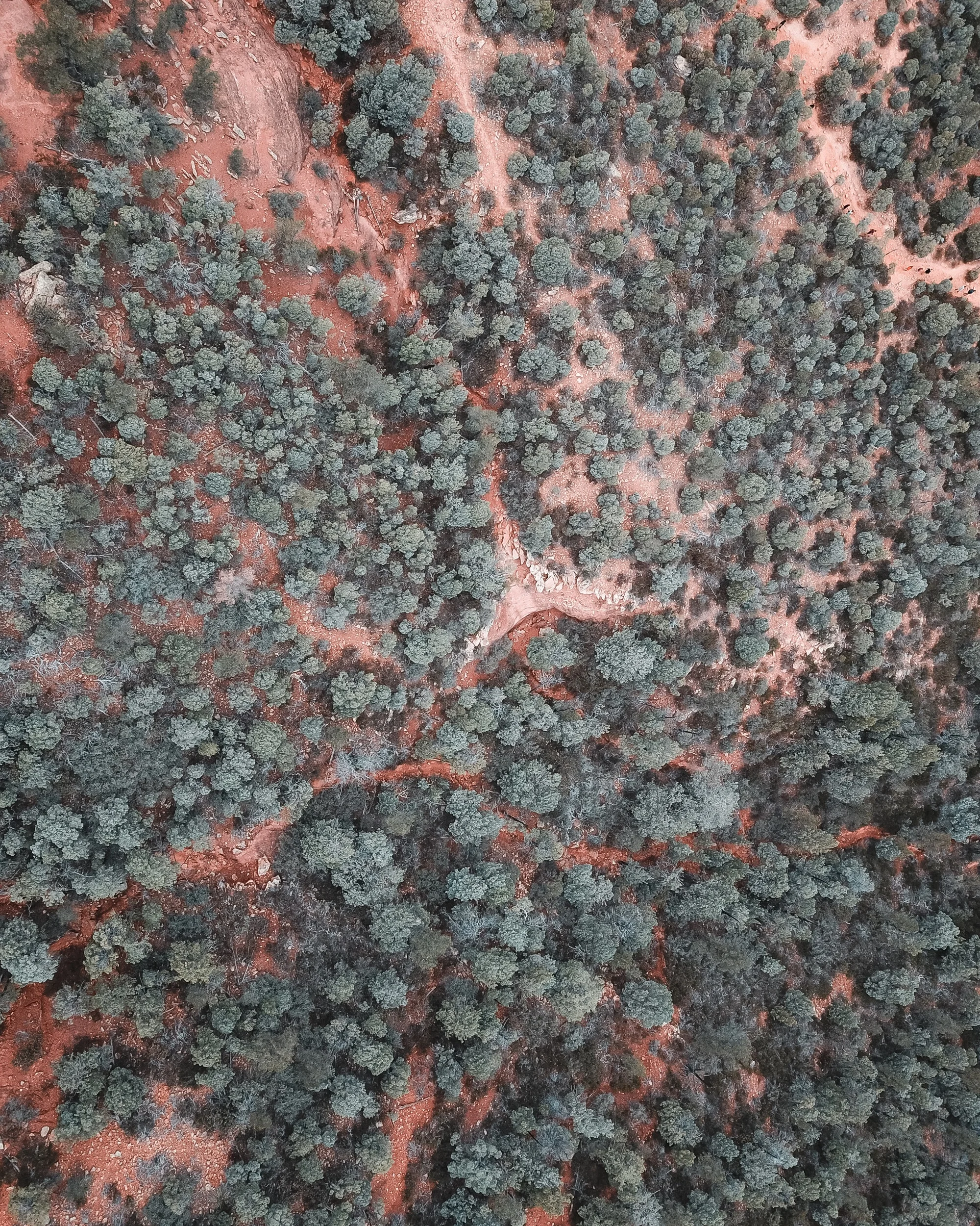 12-25-18 Sedona-21.jpeg