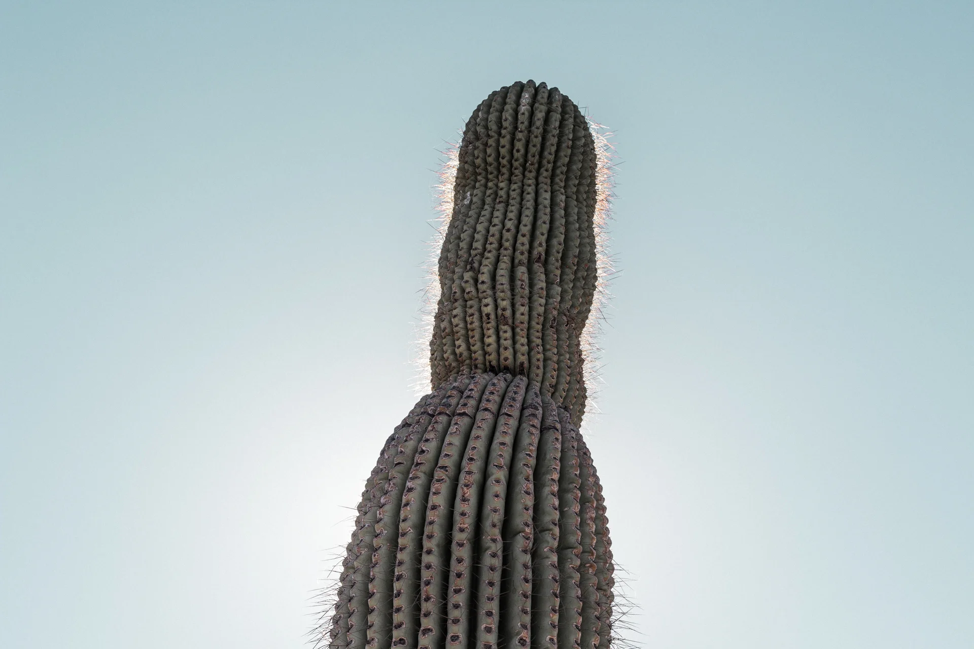 December at Papago-11.jpg