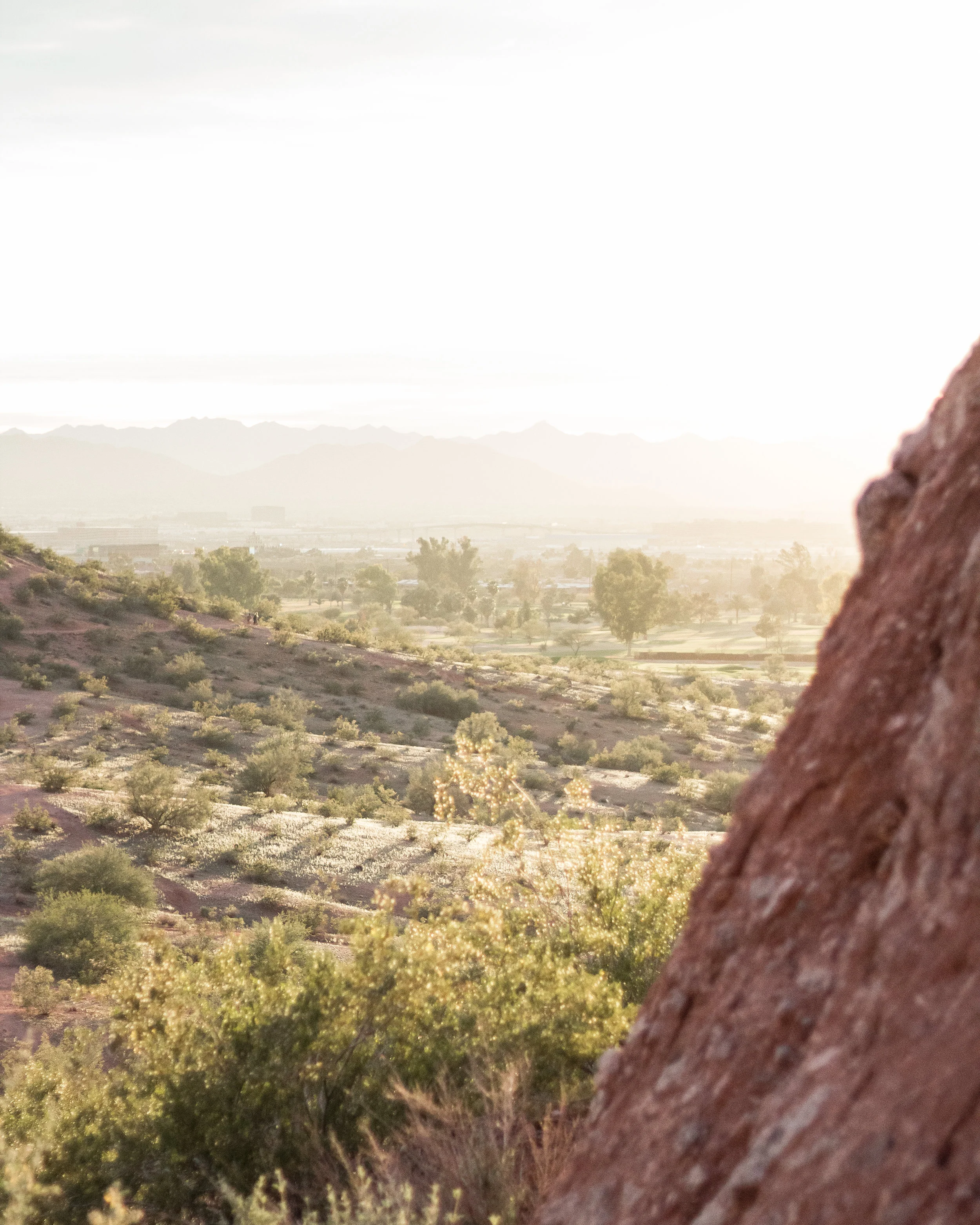 12-16-18 Papago-20.jpg