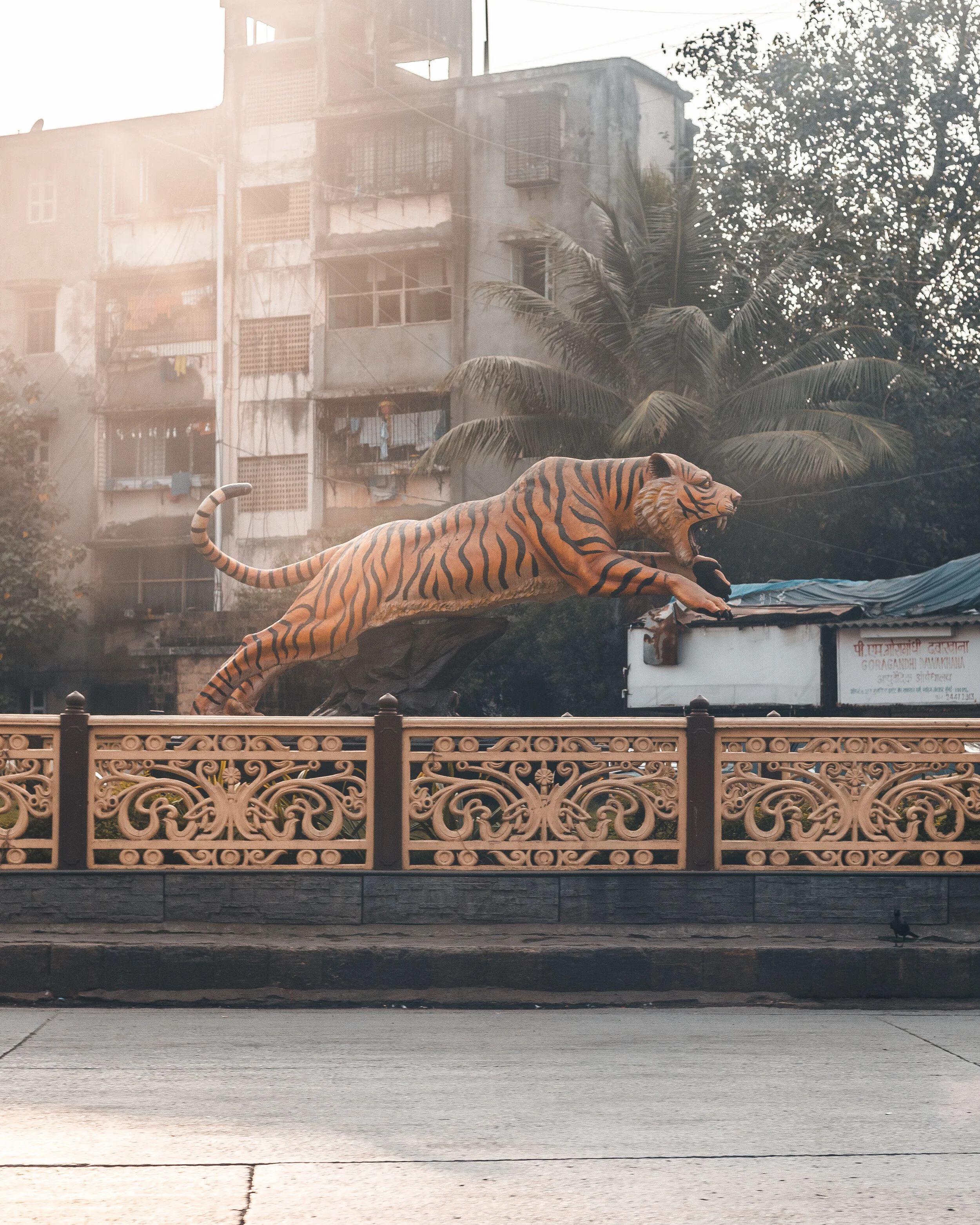 11-30-19 Mumbai Street Life-15.jpg