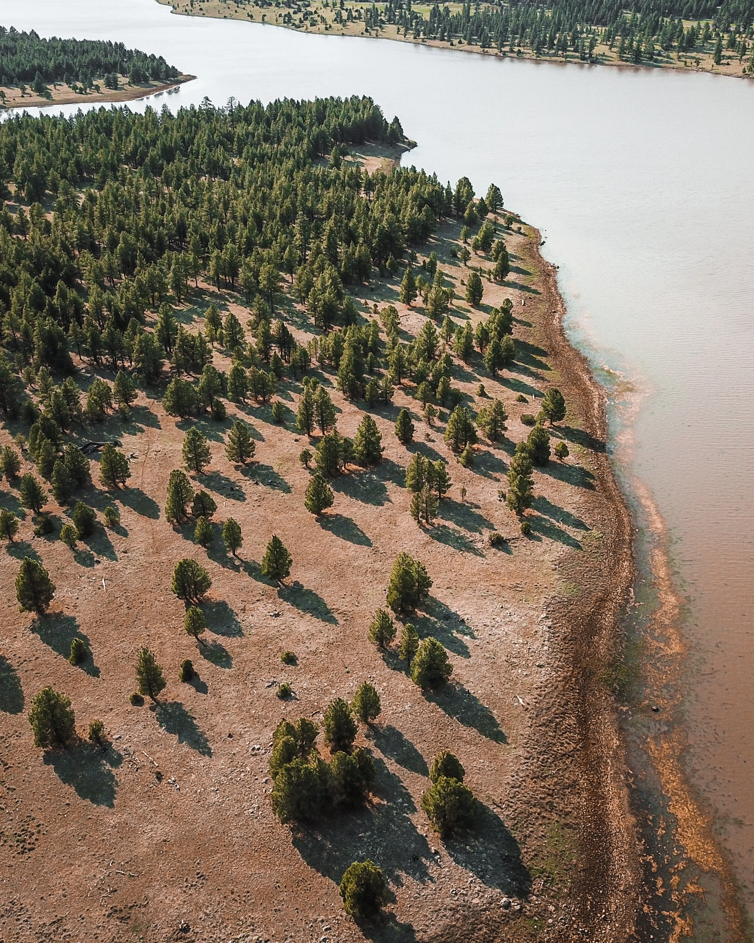 06-18-19 Flagstaff-5.jpg