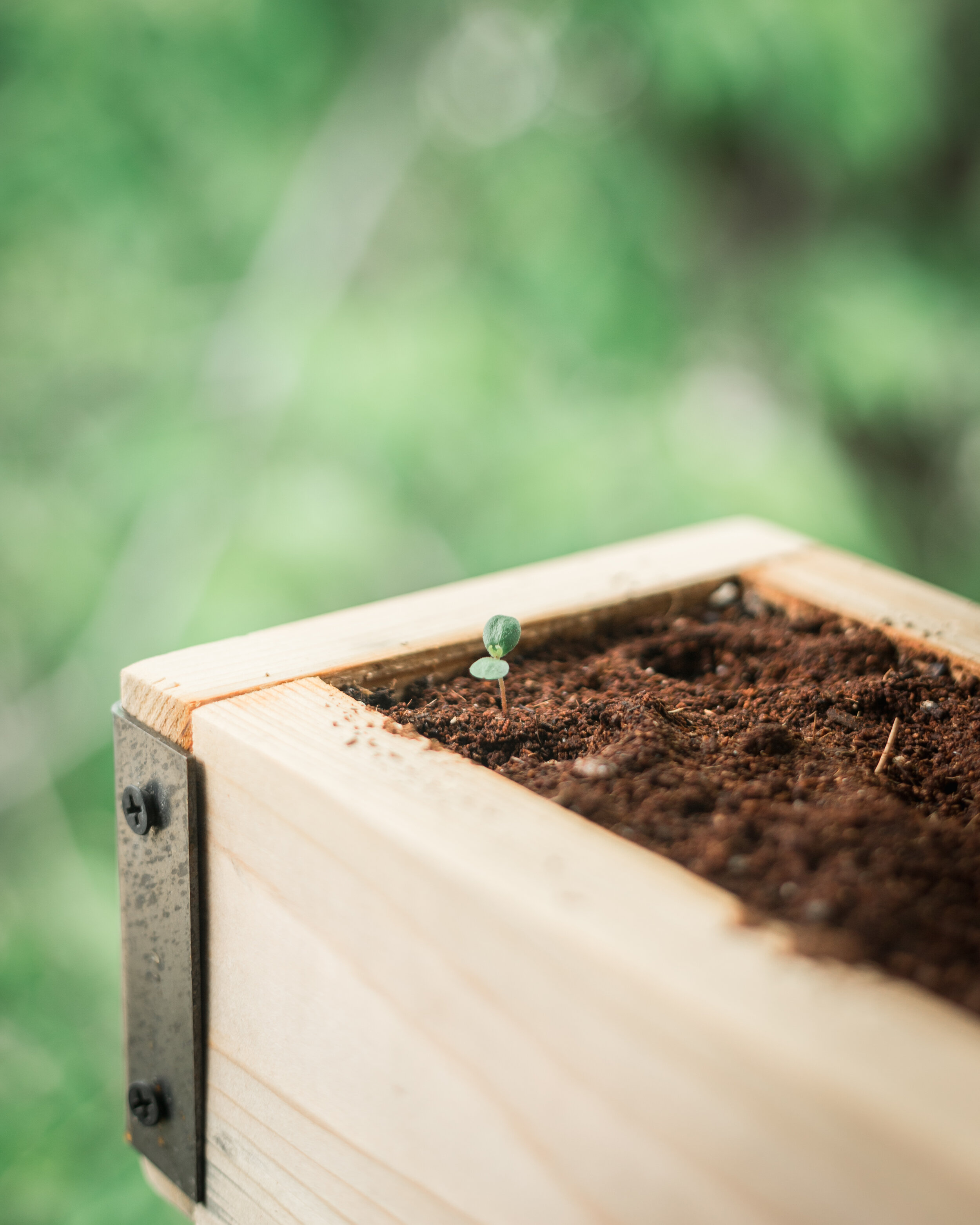 03-24-20 Bespoke Post Grow-13.jpg