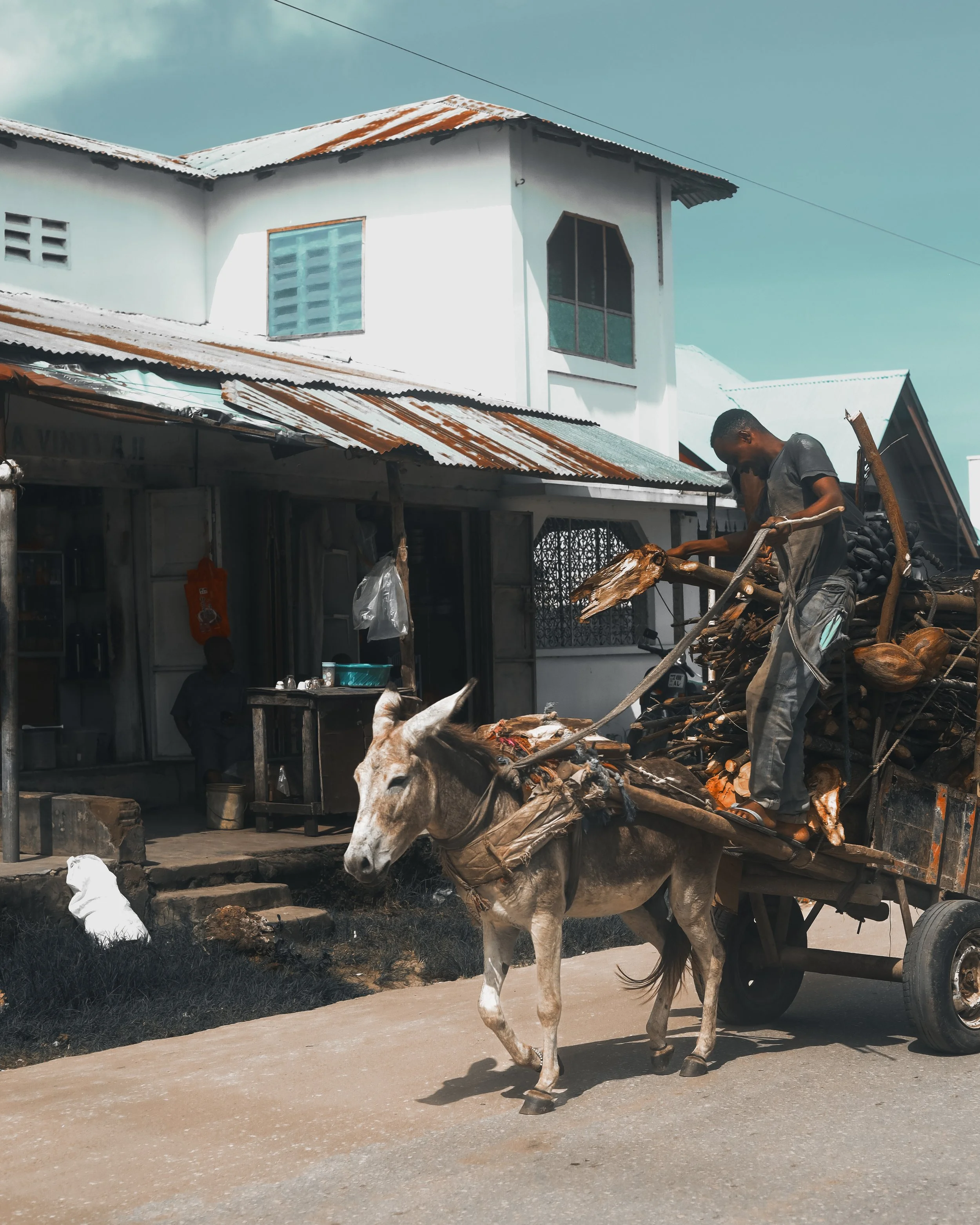 Tanzania 2025-45.jpg