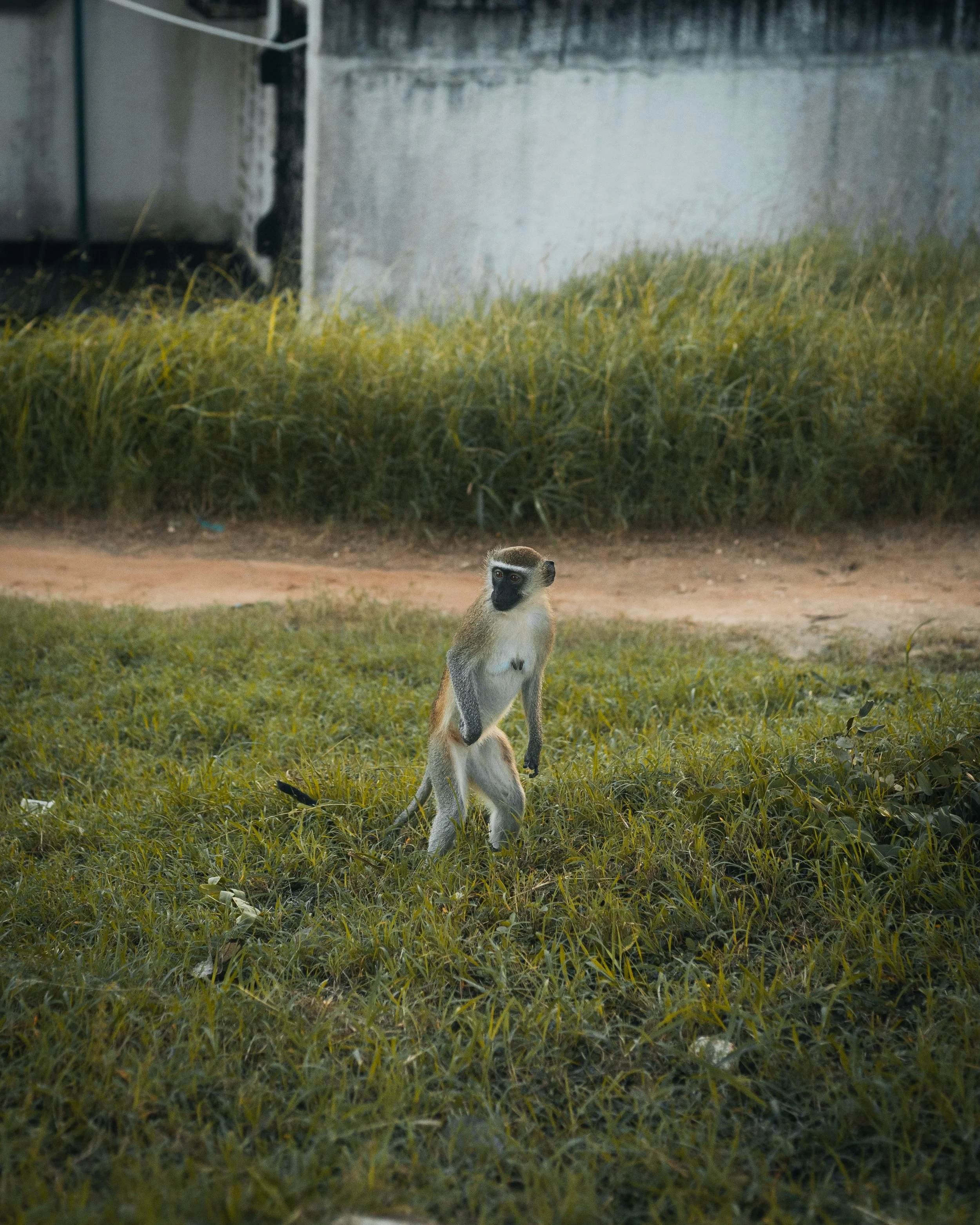 Tanzania 2025-107.jpg