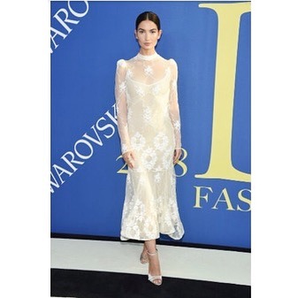 Congrats to all of the winners at the @cfdaawards last night ... And, Nashville&rsquo;s own @lilyaldridge for representin&rsquo;! #whynfw @cfda @voguemagazine