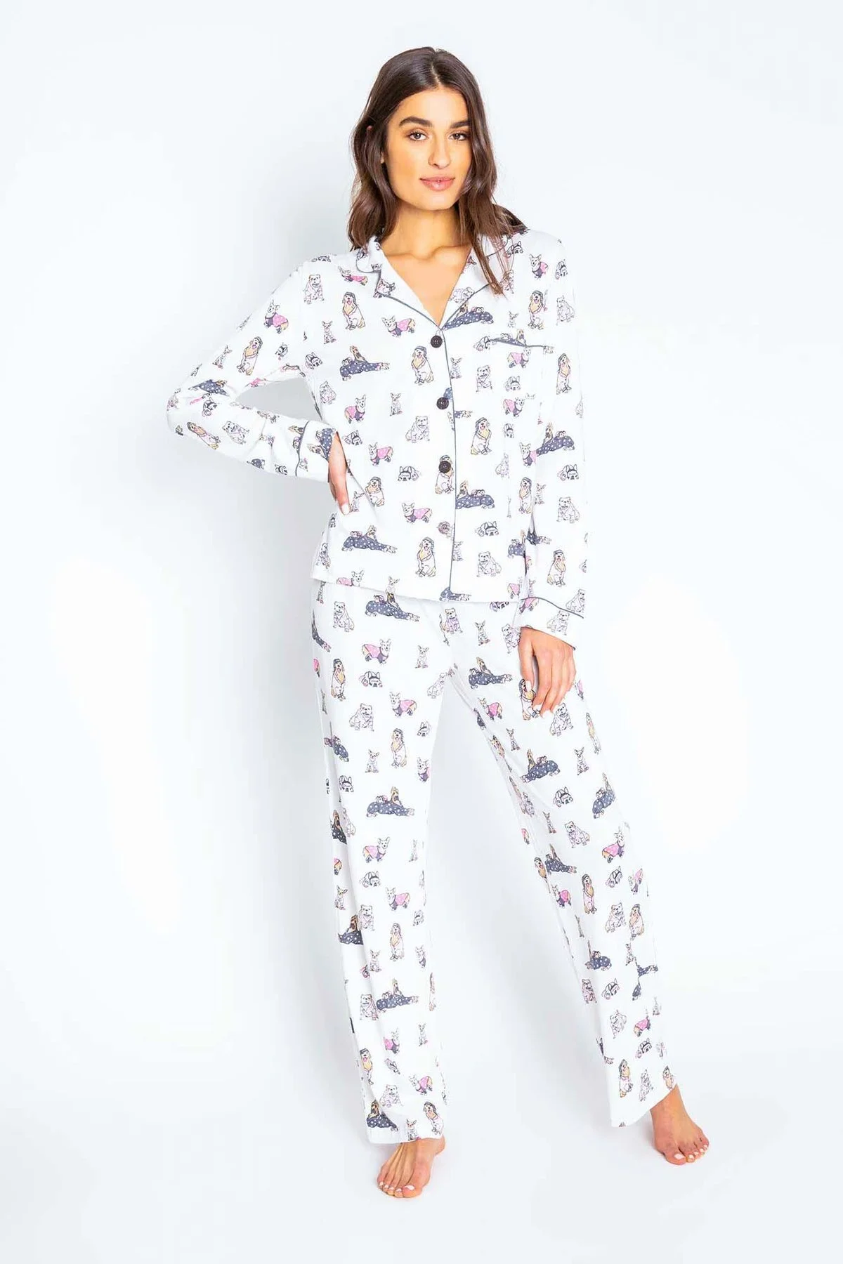 dog set3.jpg