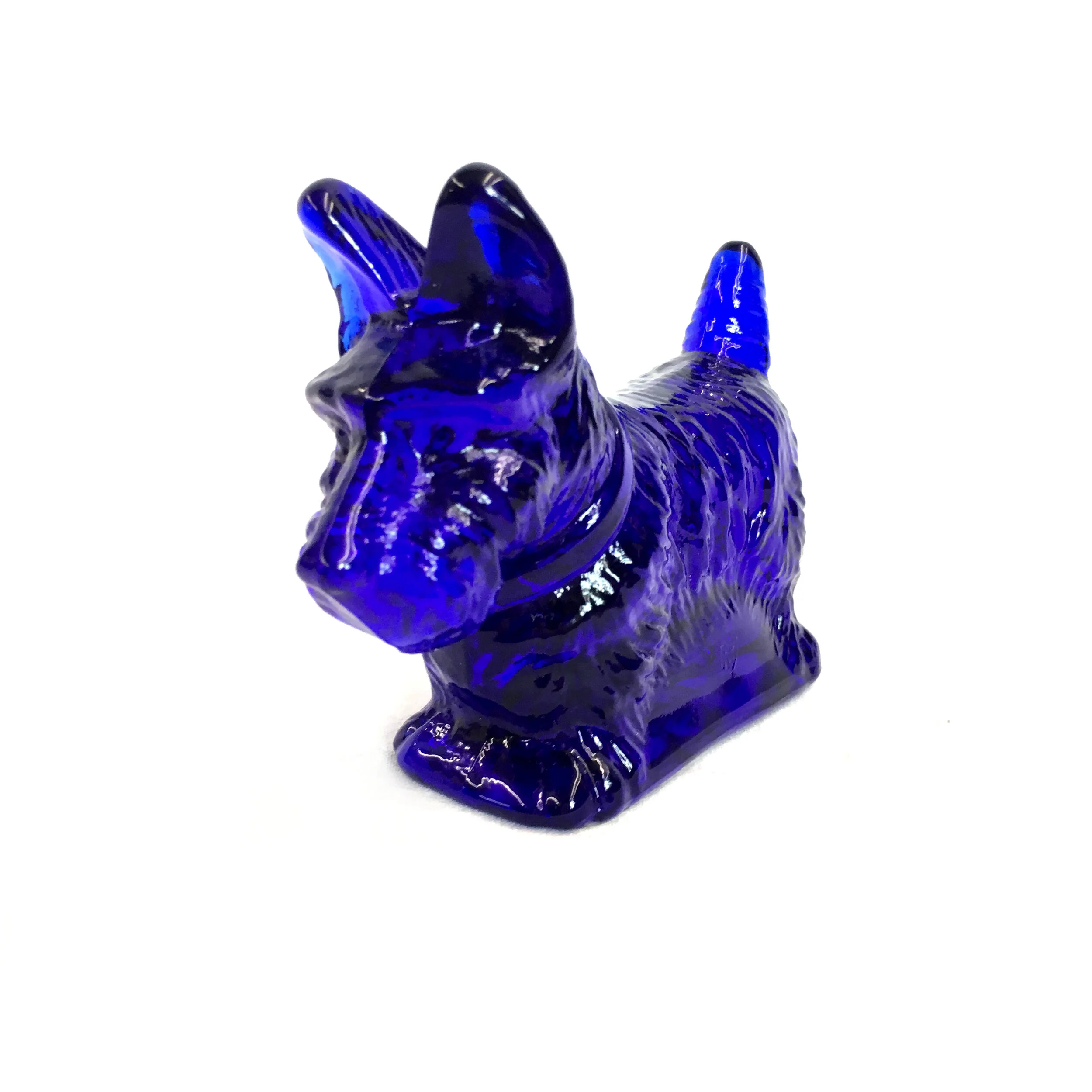 Scottie - Cobalt 2.JPG