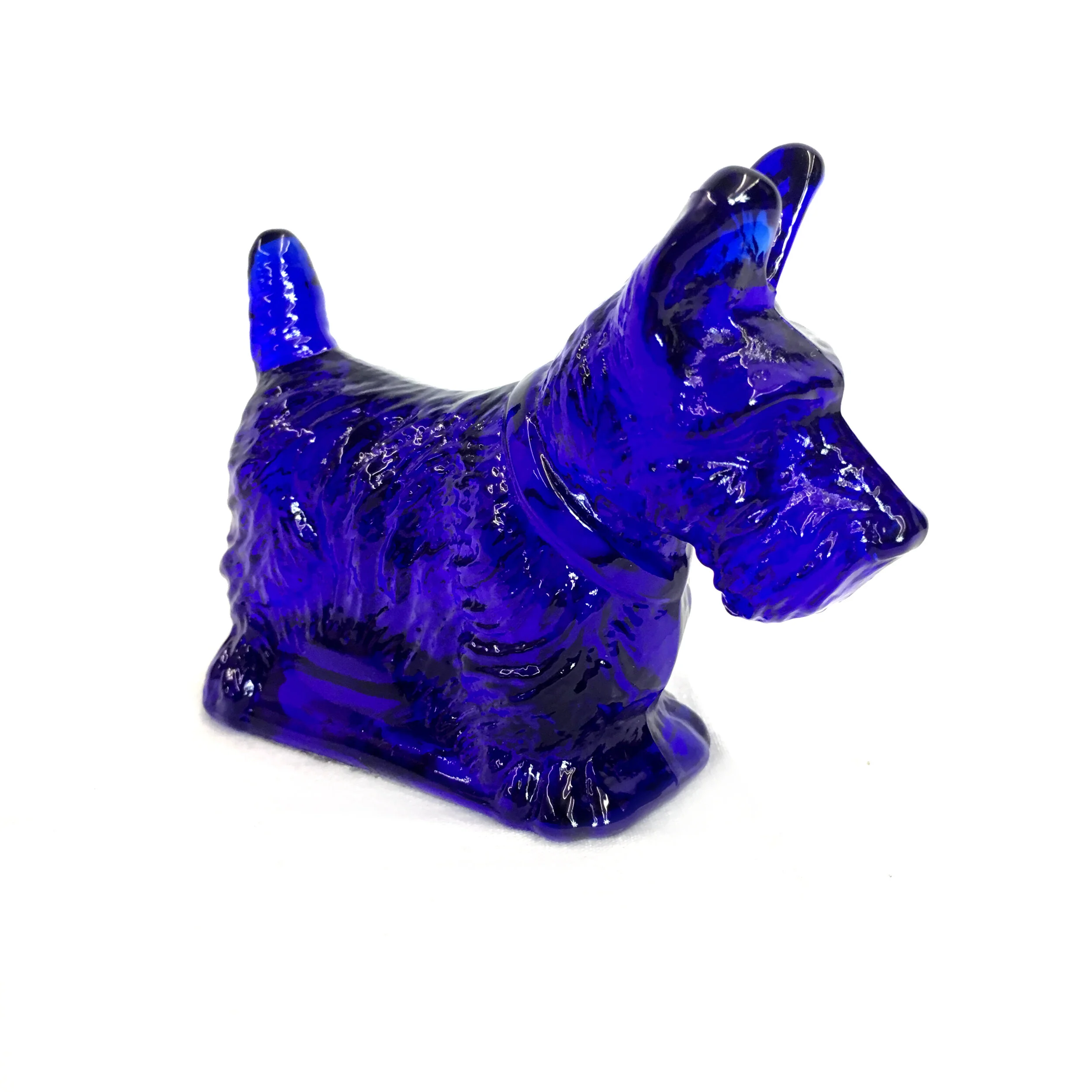 Scottie - Cobalt 1.JPG