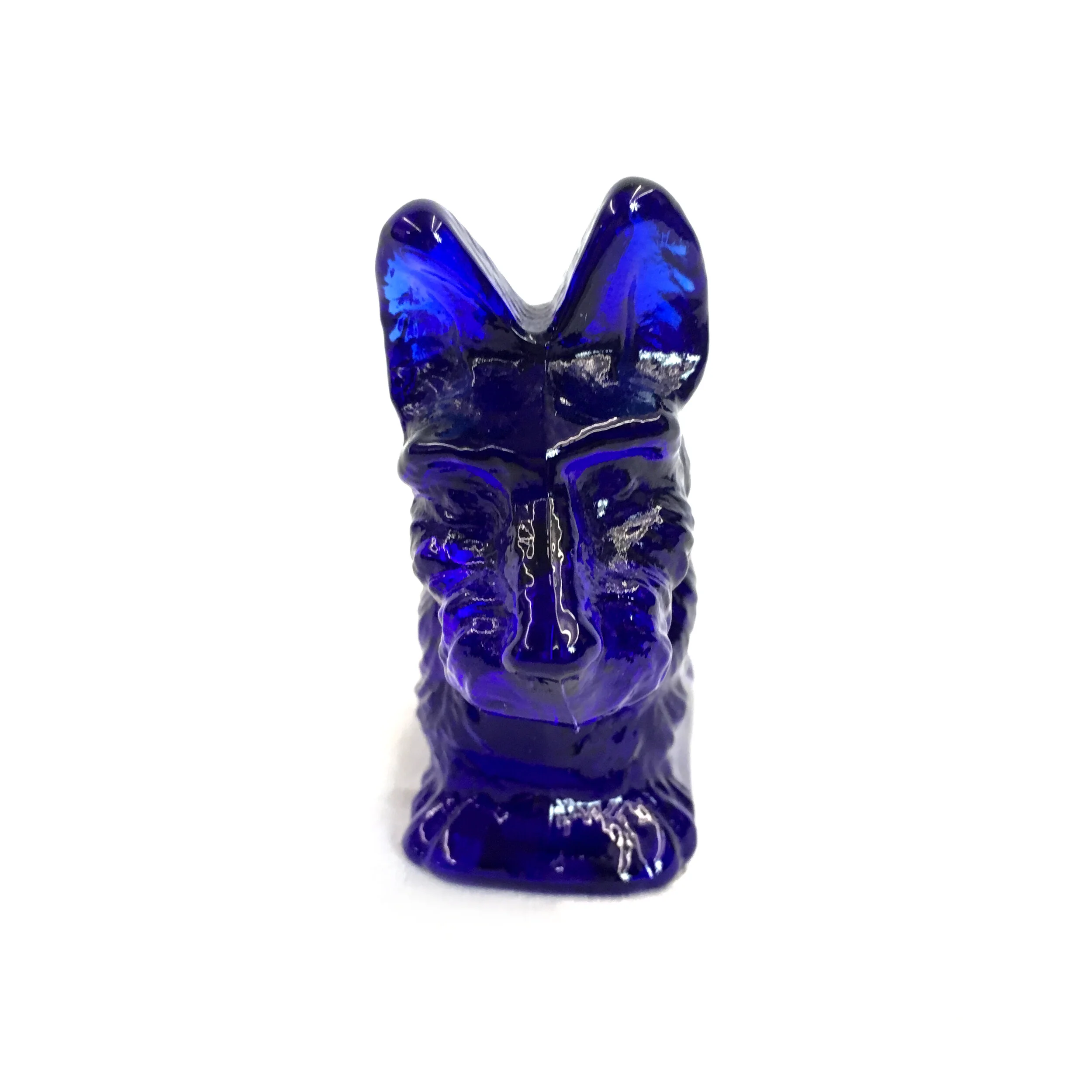 Scottie - Cobalt 3.JPG