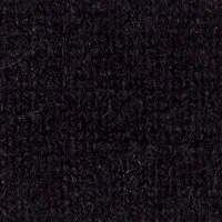 black swatch.JPG