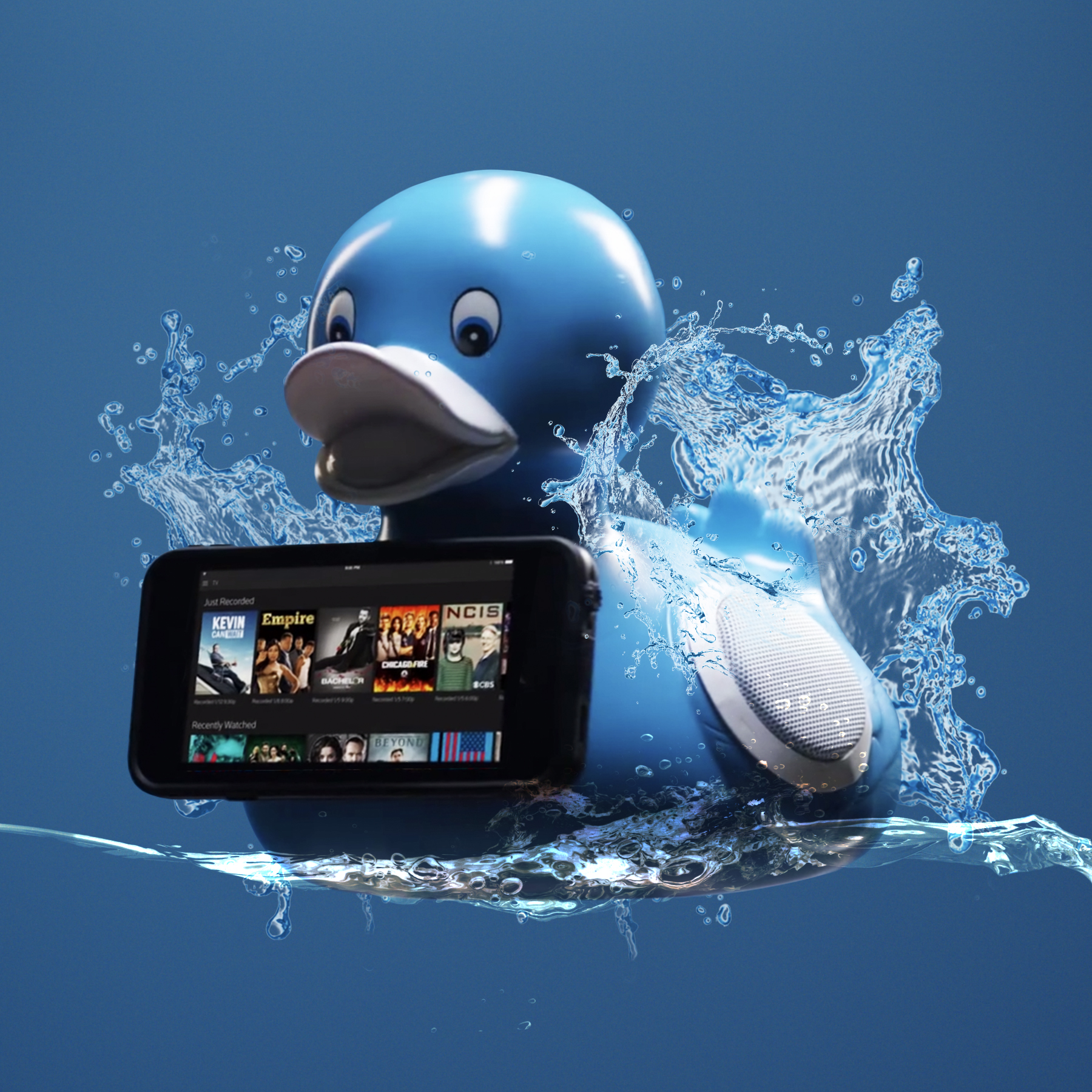 Minivations_RubberDuckyDock.jpg