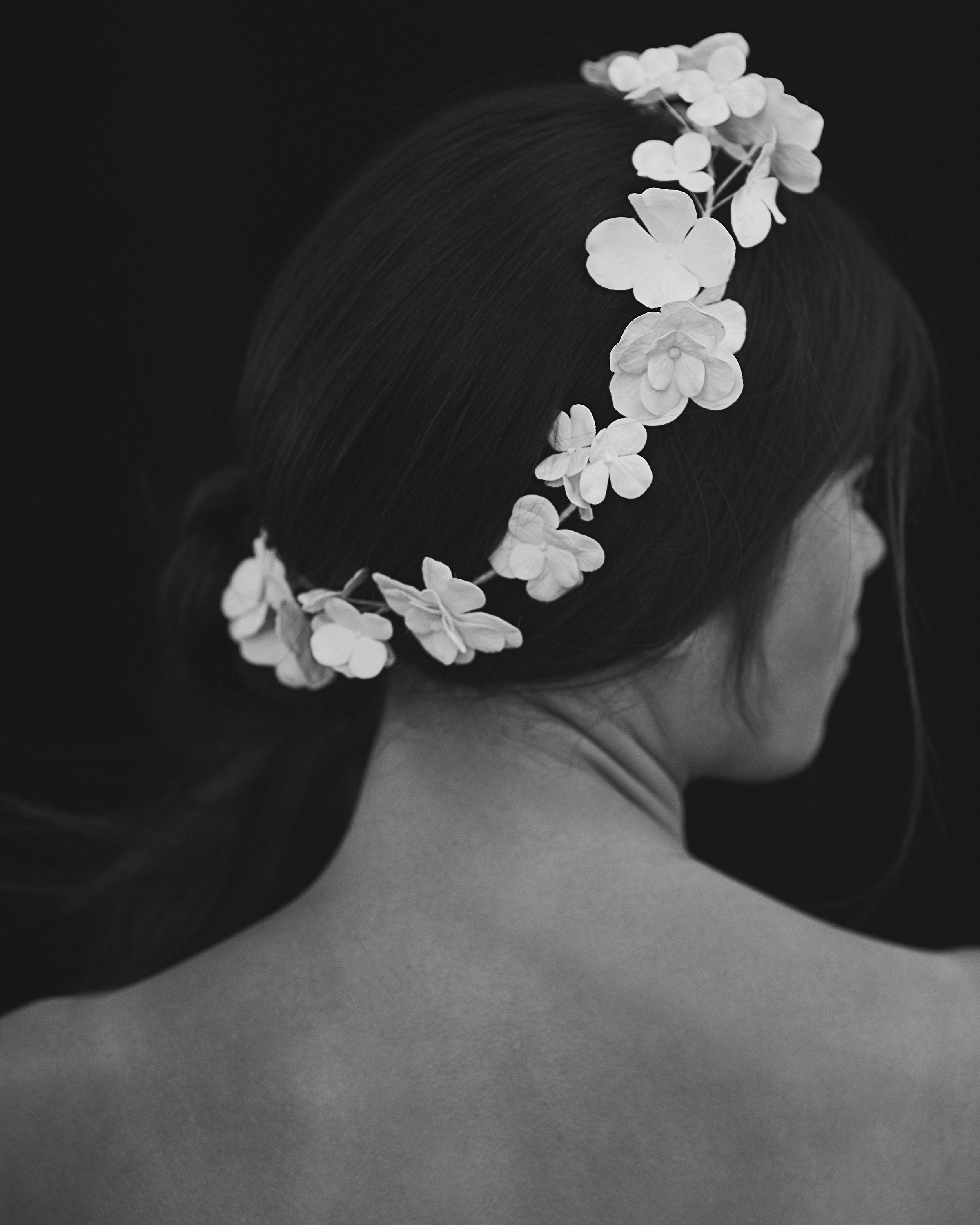 06_Madeline Hydrangea crown back view.jpg