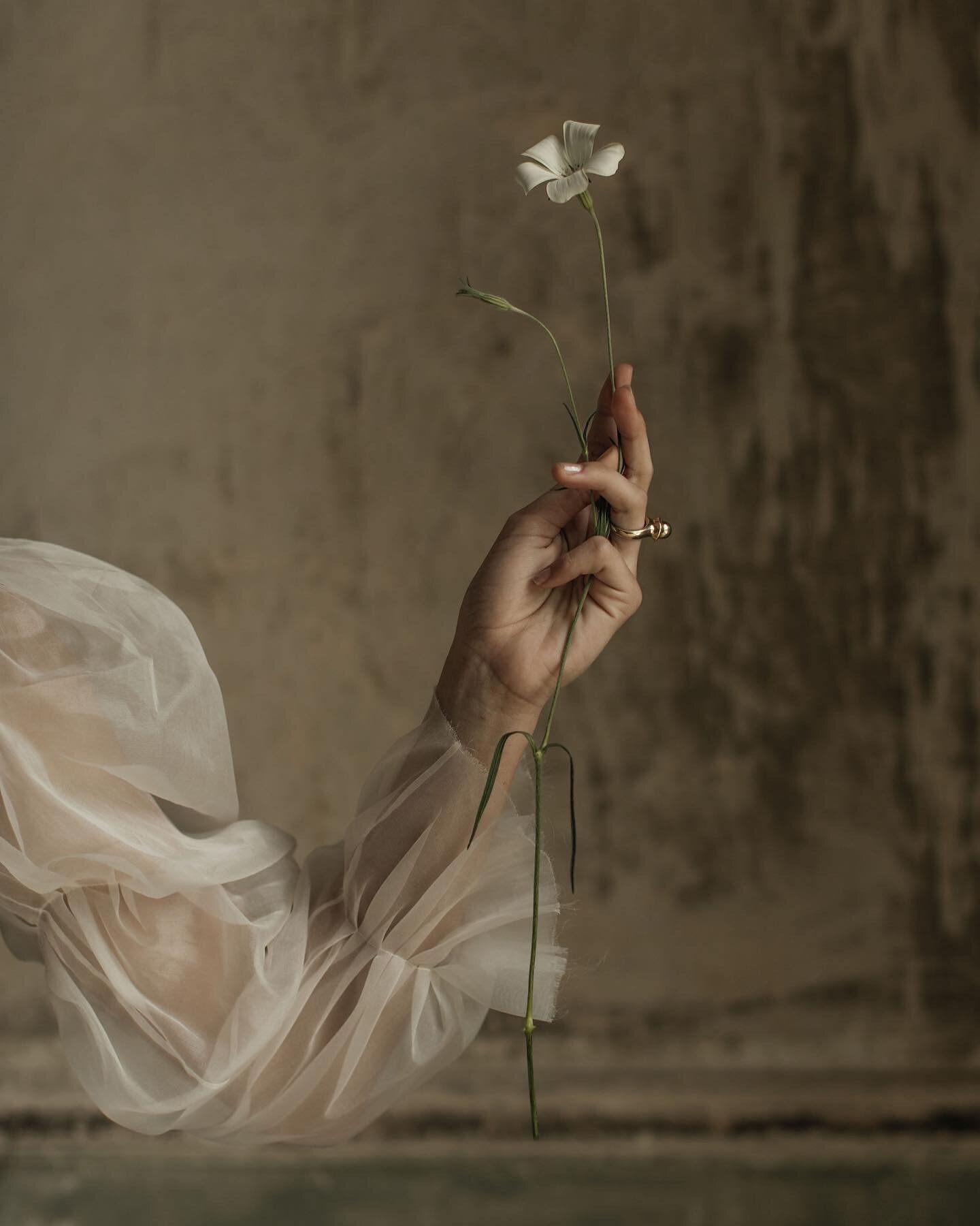 Silk organza.  It really is one of my favorite fabrics.  Sheer, soft &amp; delicate but still falls beautiful. 
⠀⠀⠀⠀⠀⠀⠀⠀⠀
Poetic styling by @hilde.stories
Photo credit 
@mmeweddings
@joflowersofficial 
@hart_floral 
@romanceramadrid 
@anotherfeather 