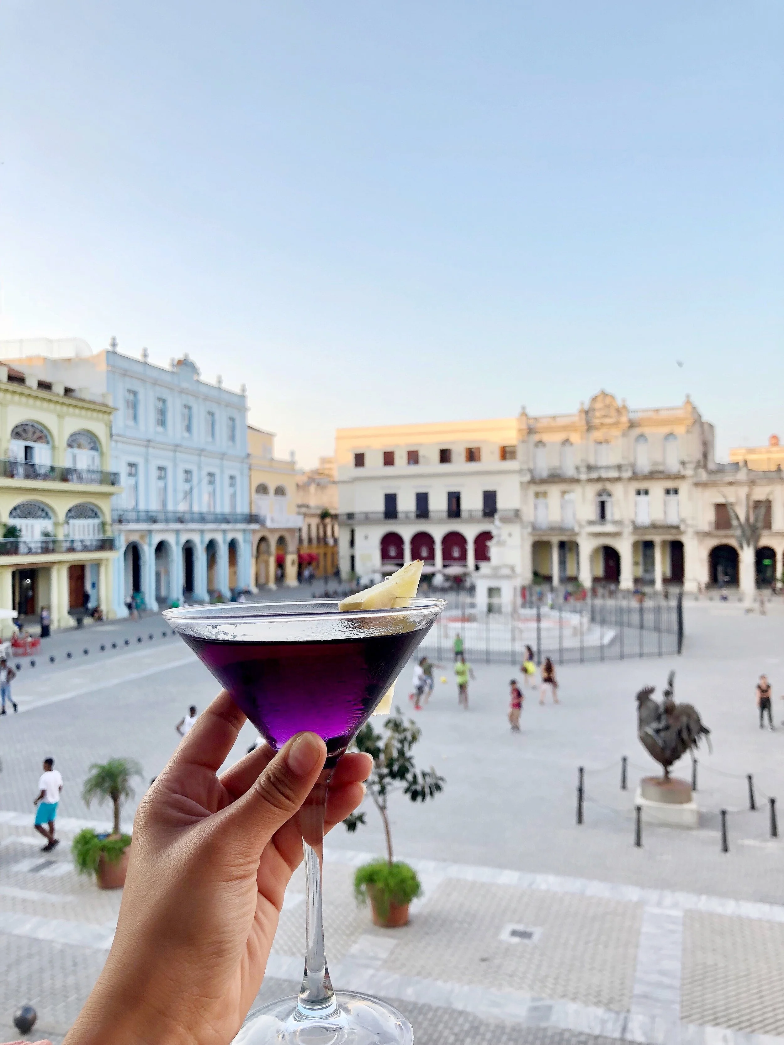 My martini on my last night