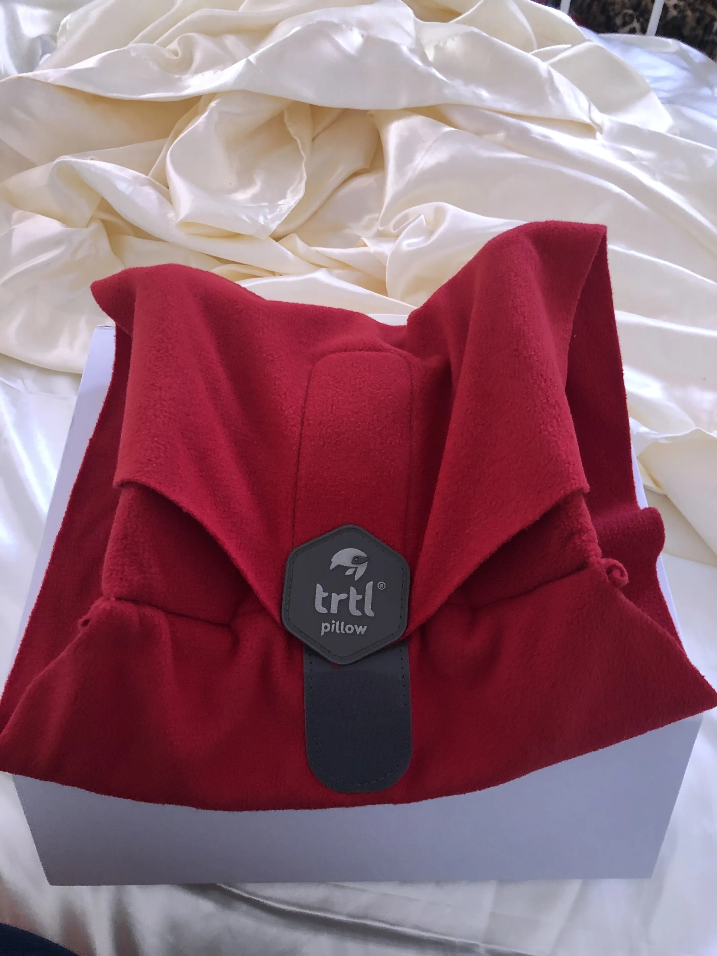 Up close of my TRTL pillow