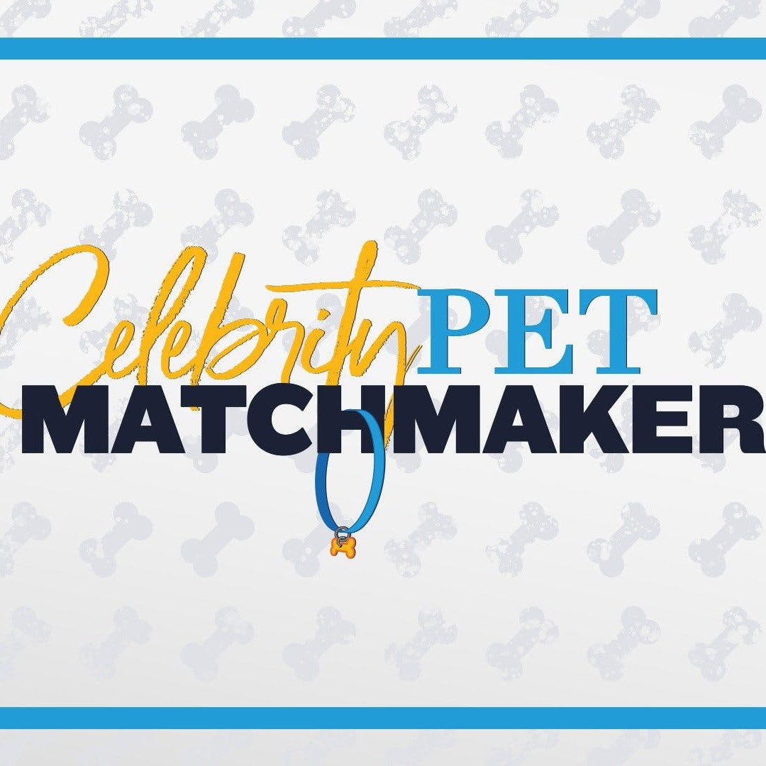 Celebrity Pet Matchmaker