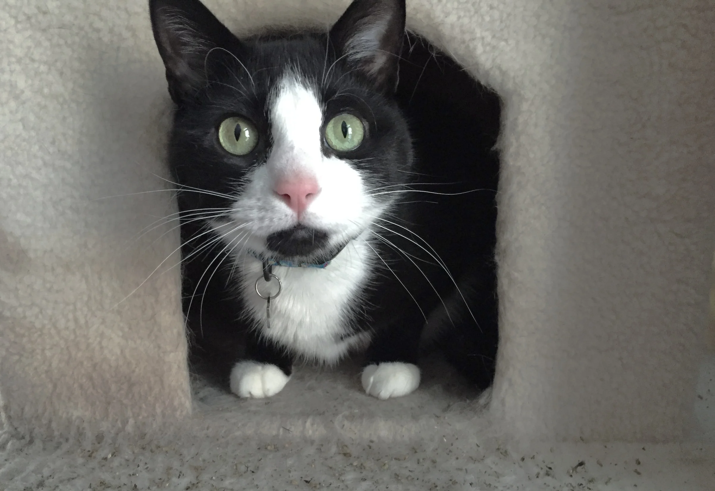 Things That Make Me Not Feel Like a Grown-Up: Leaving the House in the Morning