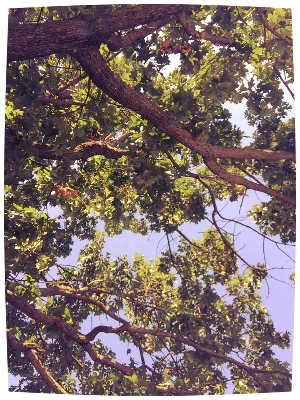 Being Grateful to Have a Moment to Appreciate